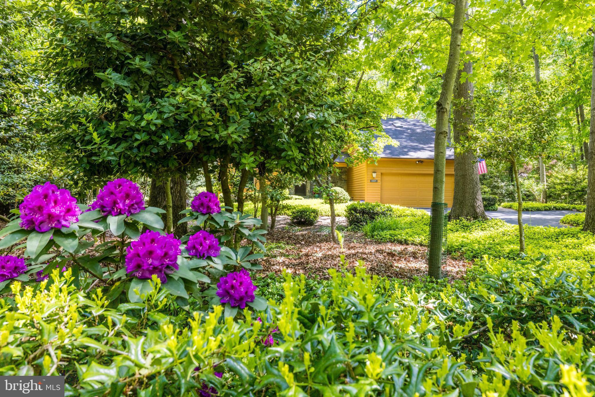 RESTON - Residential