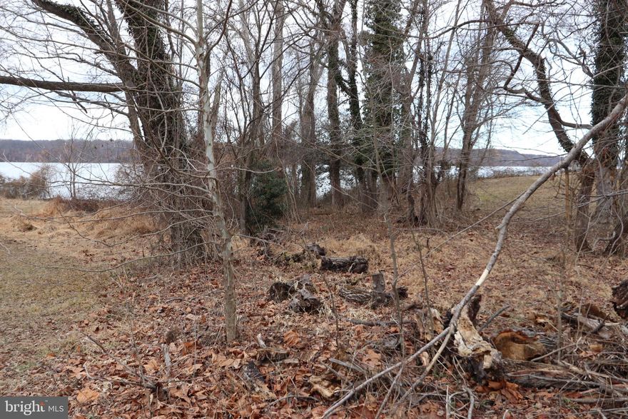 *UPDATE 02.21.2026*  Access to lot 3 is now through the road  (someone just cleared it beyond lot 5.
This sale is for 2 separate waterfront lots located on the POTOMAC River (under one deed). There is 100' +- of waterfront between both lots.   Lot 1 is adjacent to the community access lot to the river which you, as a property owner will have access too.  Lot 3 is a stand-alone lot that appears to have access to the lot from the paved section of Riverside Drive. BOTH LOTS ARE NOT BUILDABLE at this time.  The lots are great for recreation, and the fishing is outstanding from the shore. A few miles away is a public boat ramp to put your boat in and take a very short cruise to your private beach or launch your paddle board or kayak from your property. any questions about the use of the land please call the health department or planning and zoning. The county will not allow anything unless it has an approved perc. That includes a tiny house that may have a compost toilet. Last I checked you cannot leave or store an RV/camper on the property.