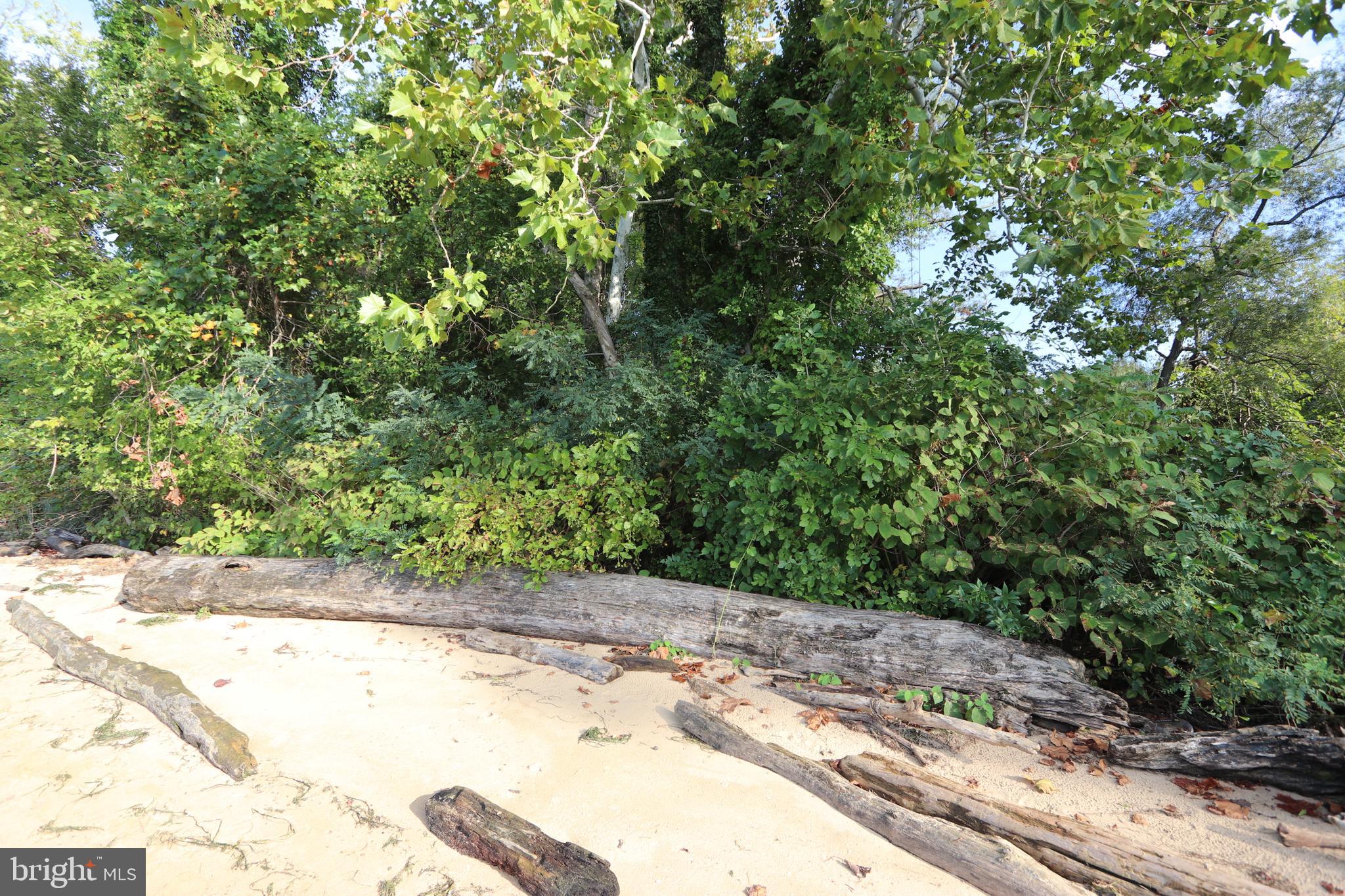 Lots 1 & 3 RIVERSIDE DRIVE