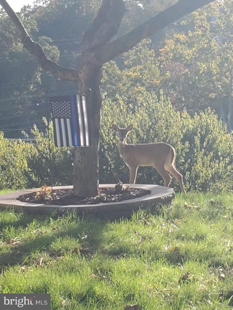 BROWNSTOWN ESTATES - Residential