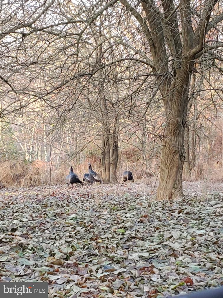 BROWNSTOWN ESTATES - Residential