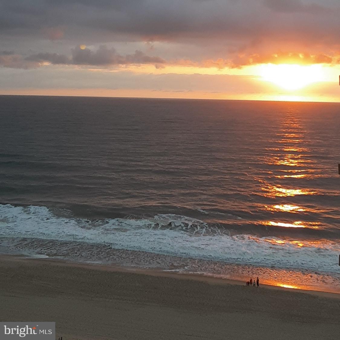 11204 COASTAL HIGHWAY 10G