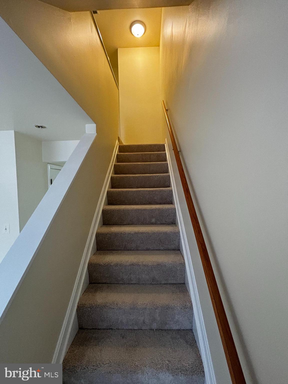 CATONSVILLE - Residential Lease