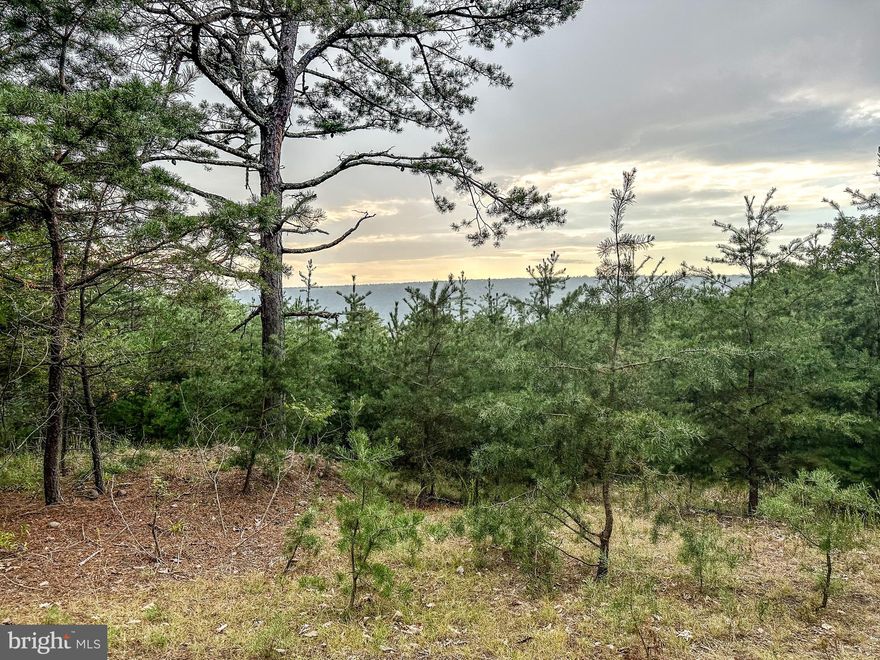 WOW! A LITTLE SLICE OF HEAVEN HAS ARRIVED! THIS 20+ ACRE PROPERTY GOES ABOVE AND BEYOND TO DELIVER EVERYTHING ON YOUR WANT LIST...TOP NOTCH MOUNTAIN VIEWS, POTENTIAL BUILD SITE, PRIVACY AND SECLUSION, WET WEATHER STREAMS THROUGH-OUT...BEST OF ALL... A PEACEFUL ATMOSPHERE OF YOUR OWN!! LOCATED IN A GATED  COMMUNITY ONLY 5 MINUTES FROM CIVILIZATION IN THE QUAINT TOWN OF ROMNEY. ITS A SIMPLE DRIVE FROM DC/METRO AREAS. WILDLIFE ABOUNDS!  RECREATIONAL, HUNTING, CAMPING, FULL OR PART TIME RESIDENTIAL- WHATEVER YOUR HEART DESIRES! OWNER IS OFFERING SELLER FINANCING OPTIONS. LOT 11 IS ALSO FOR SALE AND ADJOINS THIS LOT. LETS MAKE A DEAL! CALL TODAY