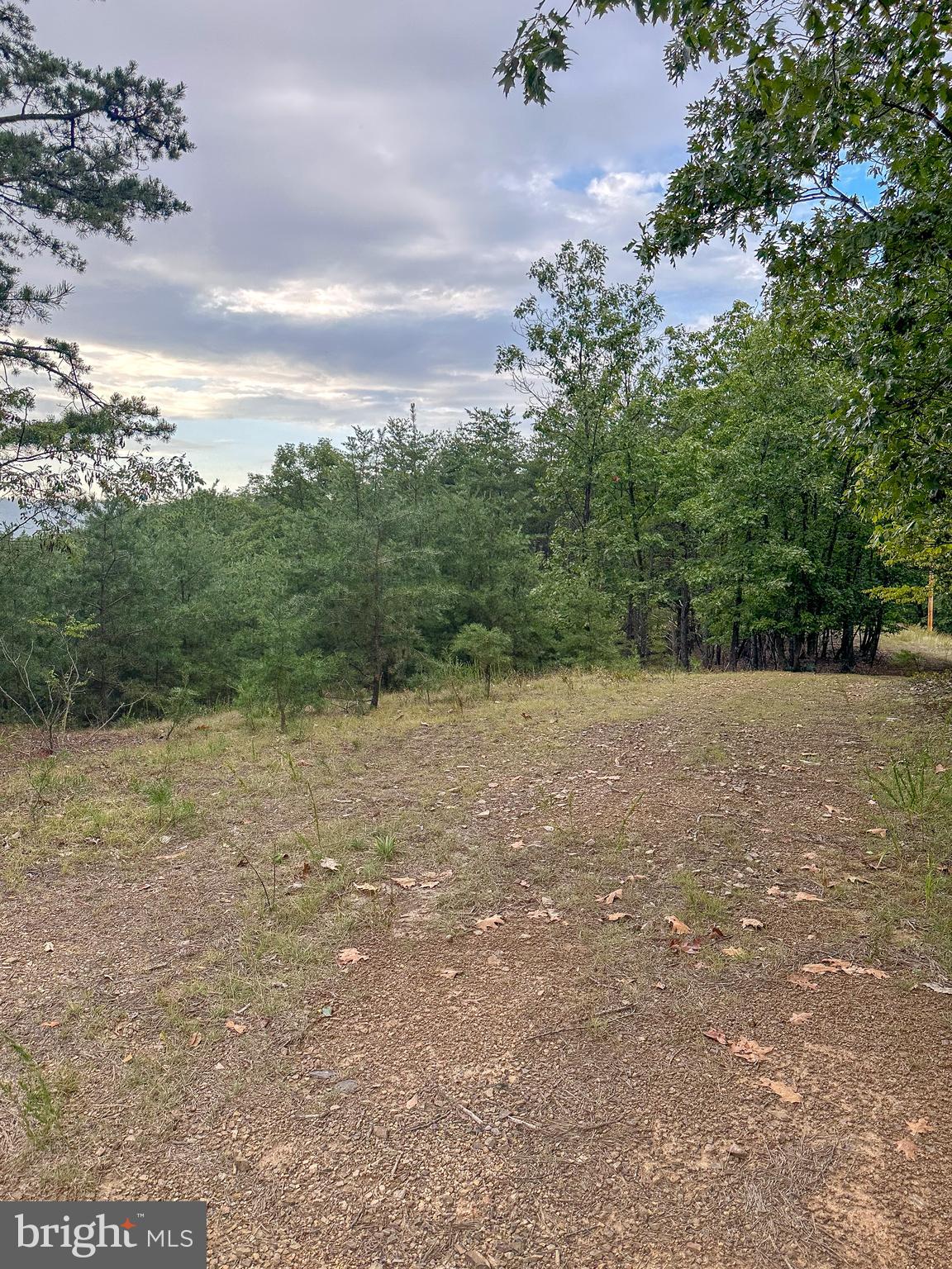 WOODLAND ESTATES - Land