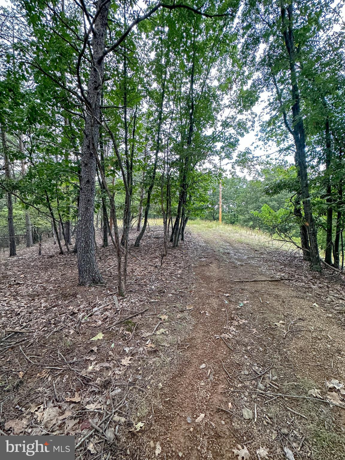 WOODLAND ESTATES - Land