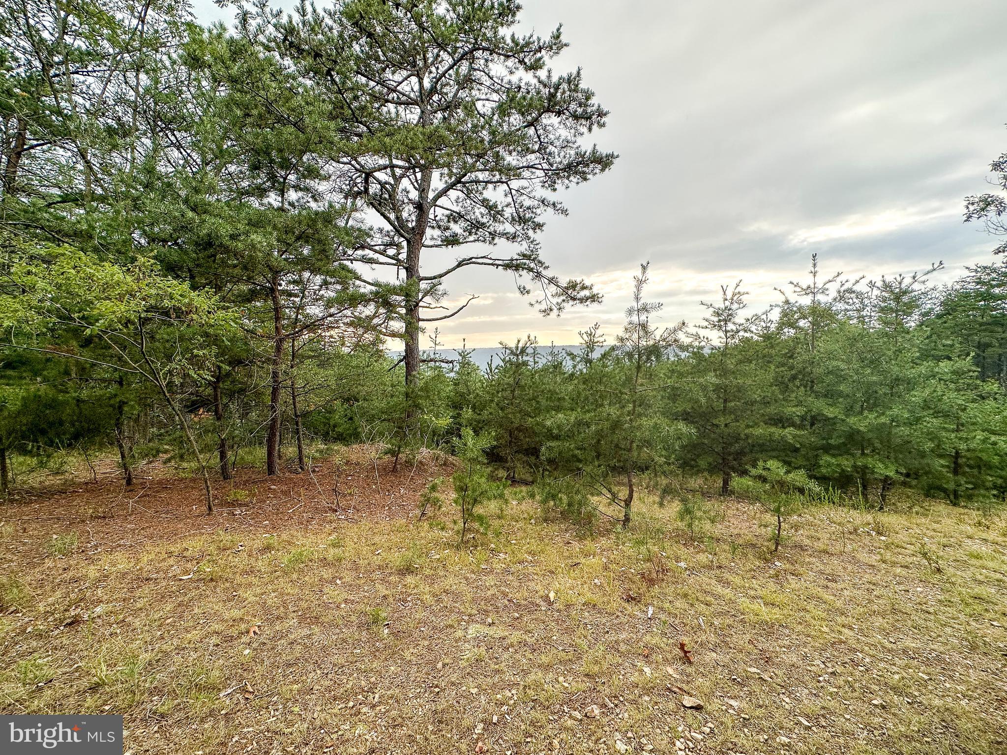 WOODLAND ESTATES - Land