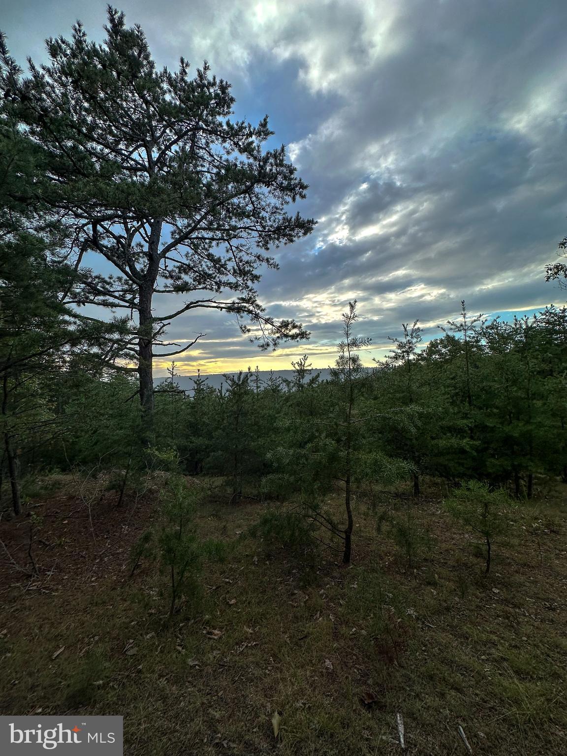 WOODLAND ESTATES - Land