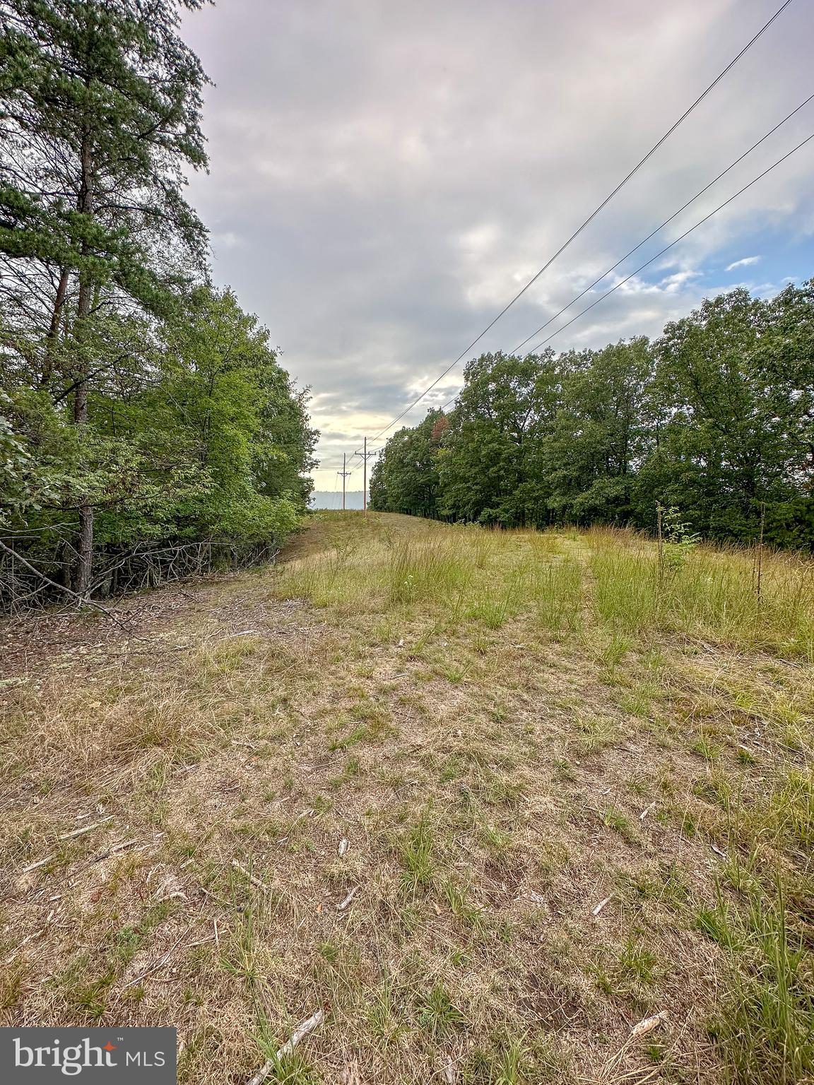 WOODLAND ESTATES - Land