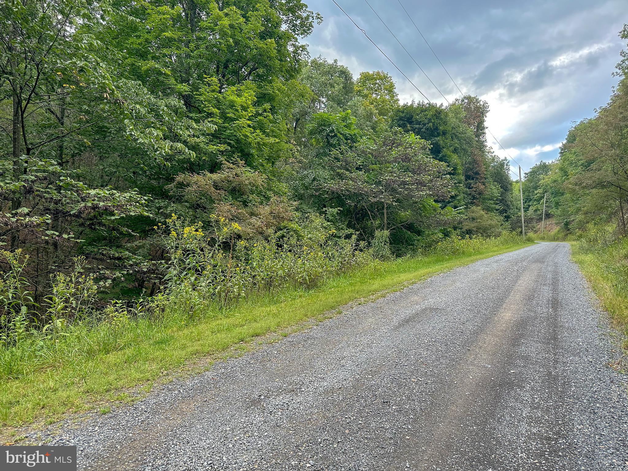 WOODLAND ESTATES - Land