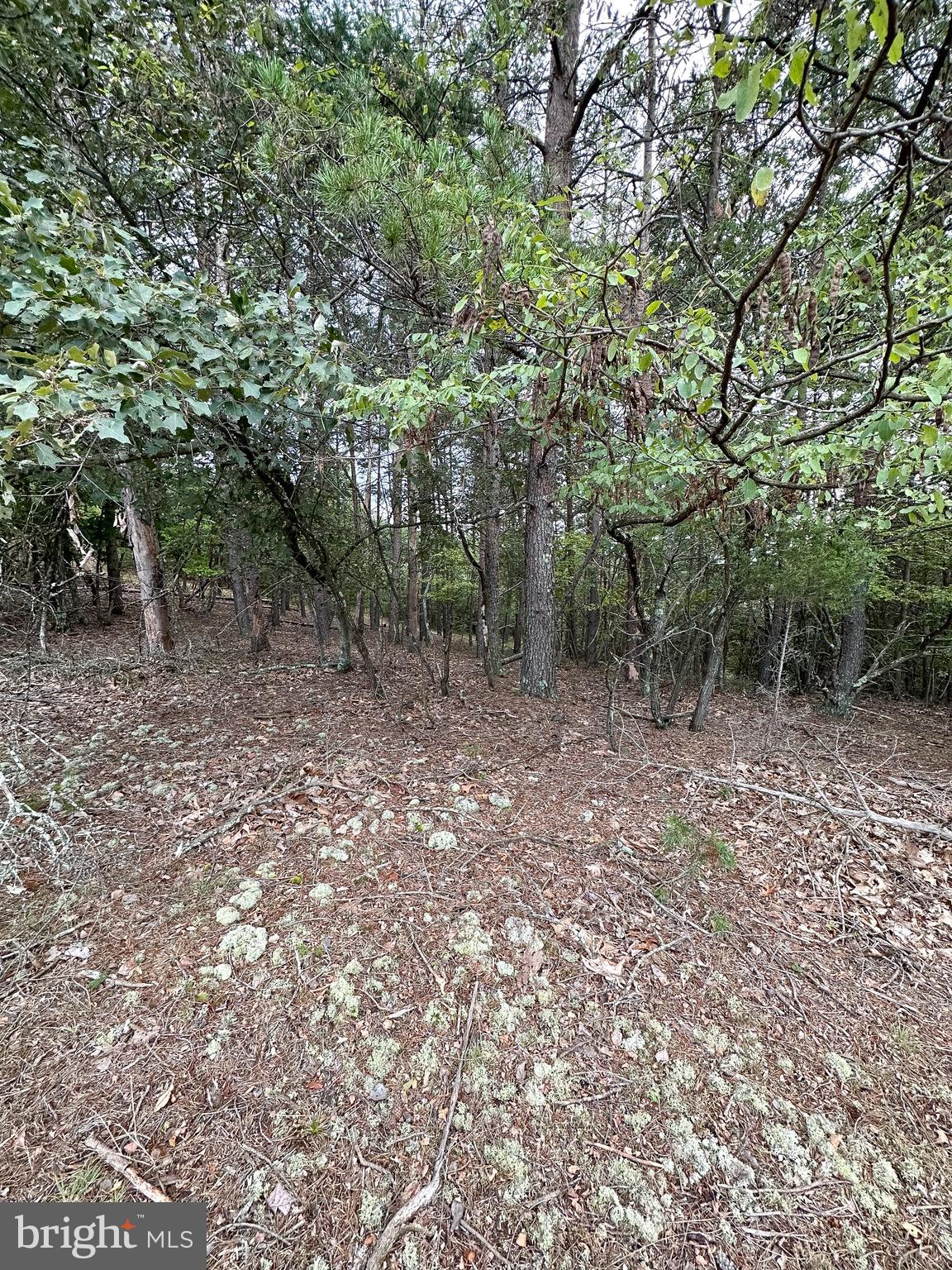 WOODLAND ESTATES - Land