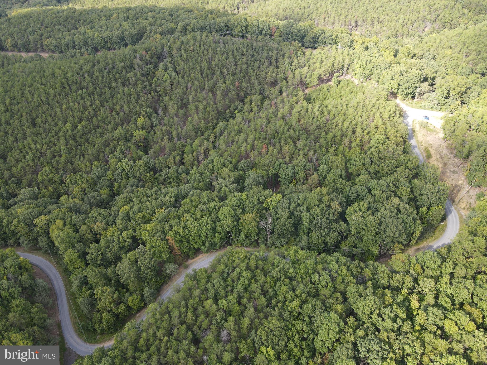 WOODLAND ESTATES - Land