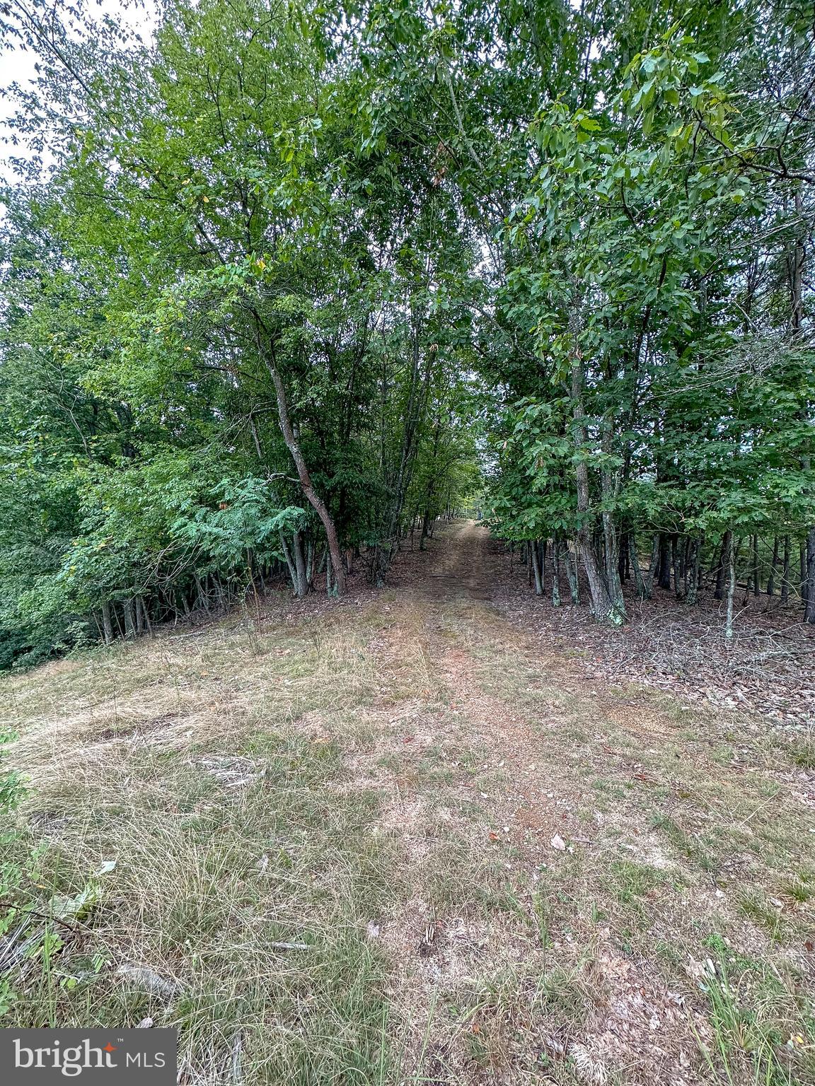 WOODLAND ESTATES - Land