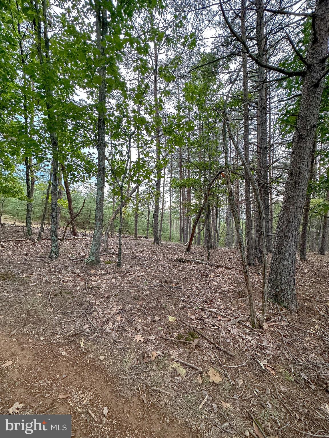 WOODLAND ESTATES - Land