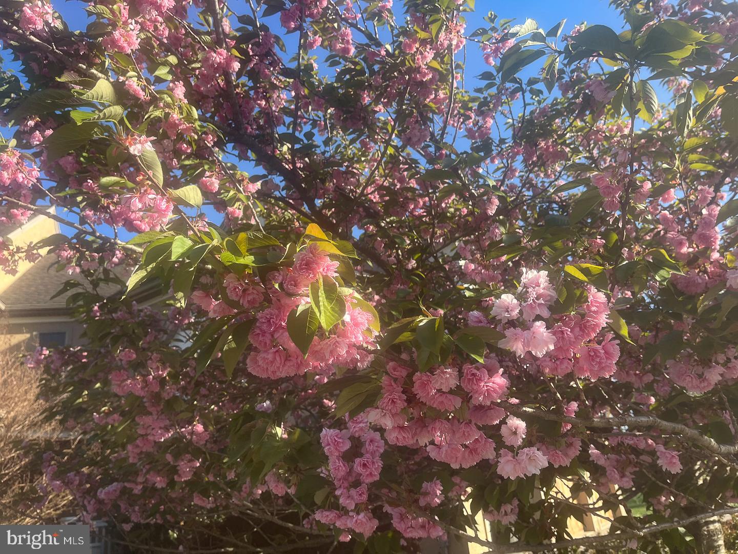 INDIAN RUN FARM - Residential