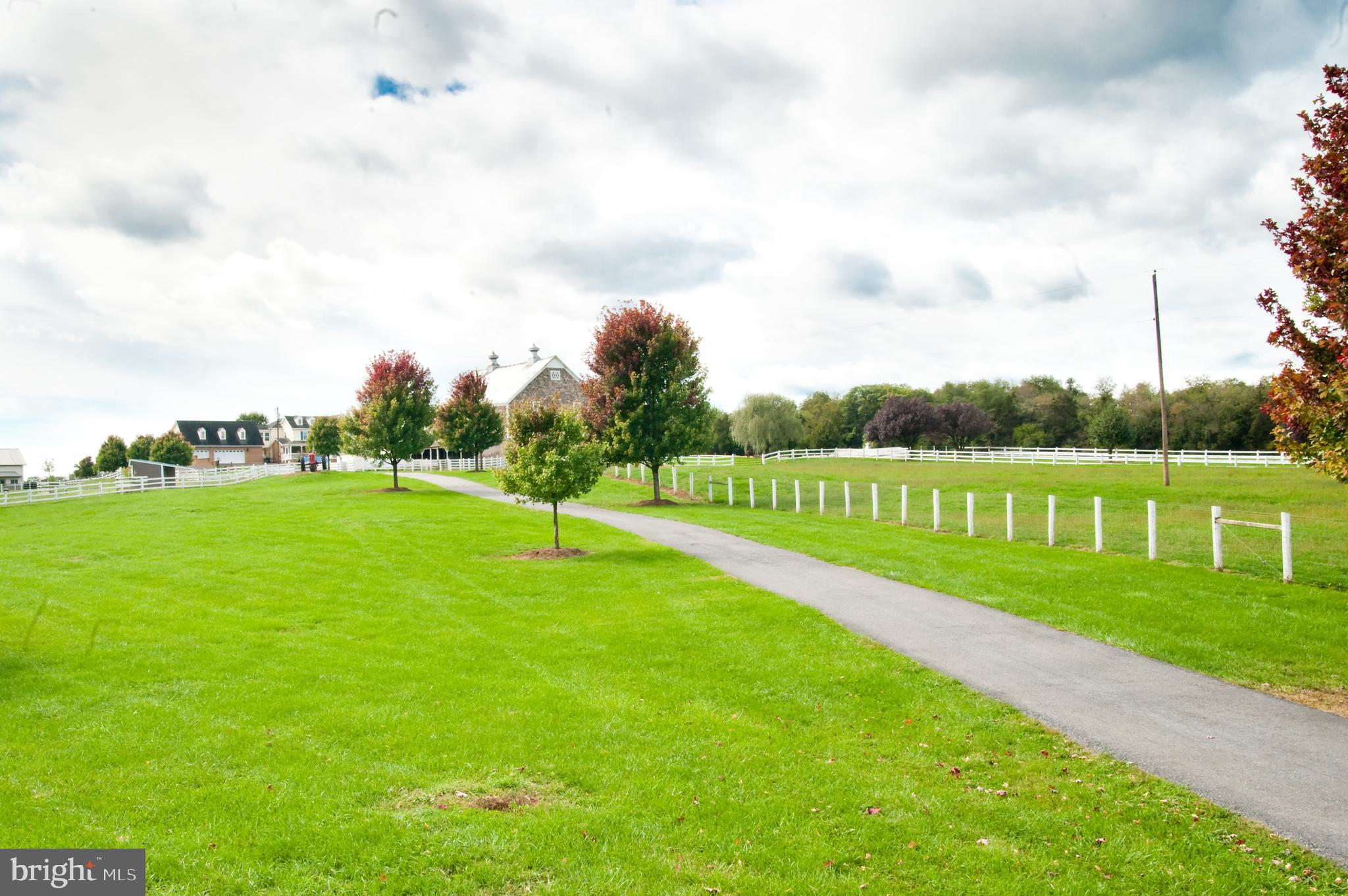 NONE AVAILABLE - Farm