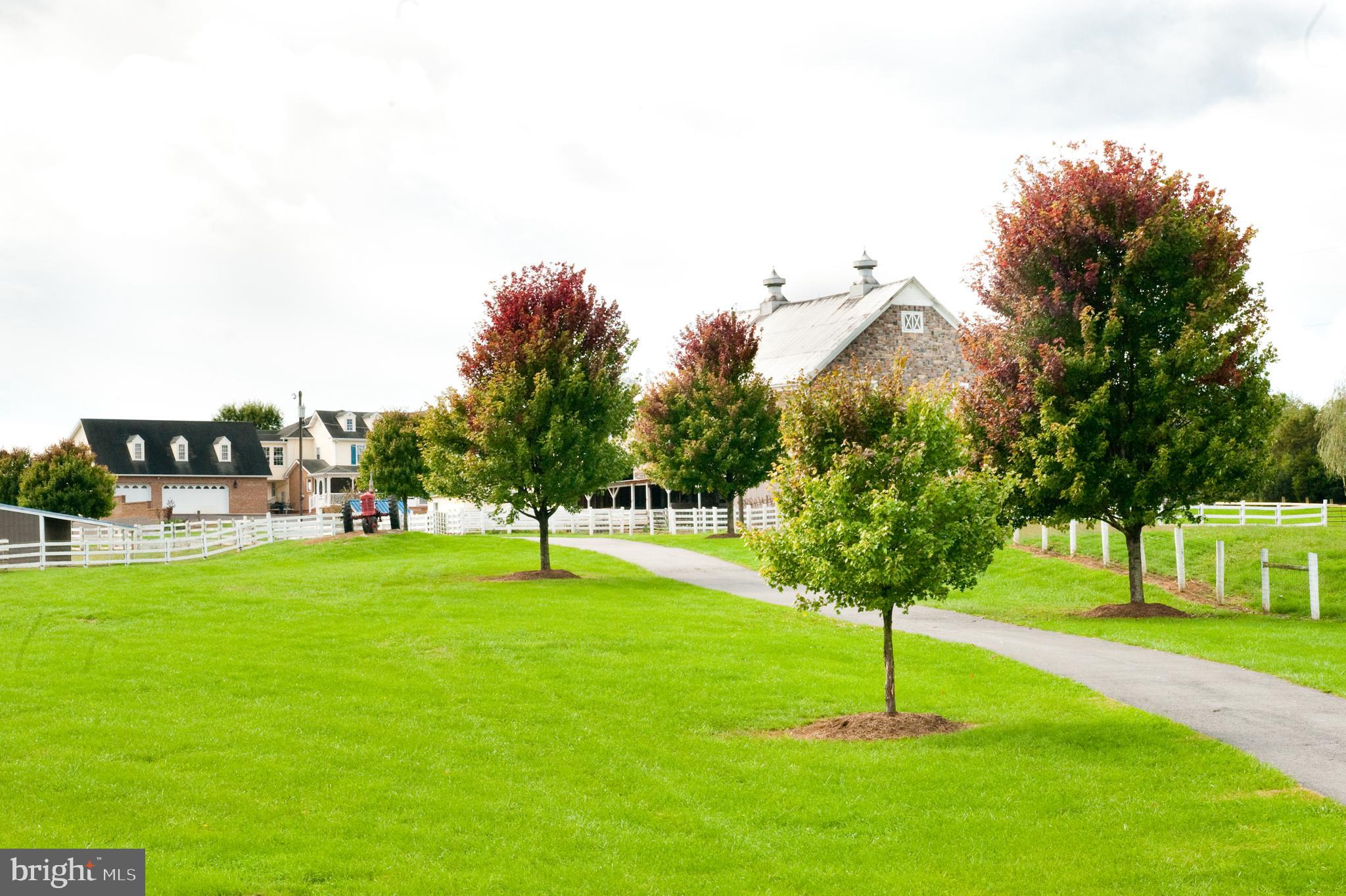 NONE AVAILABLE - Farm