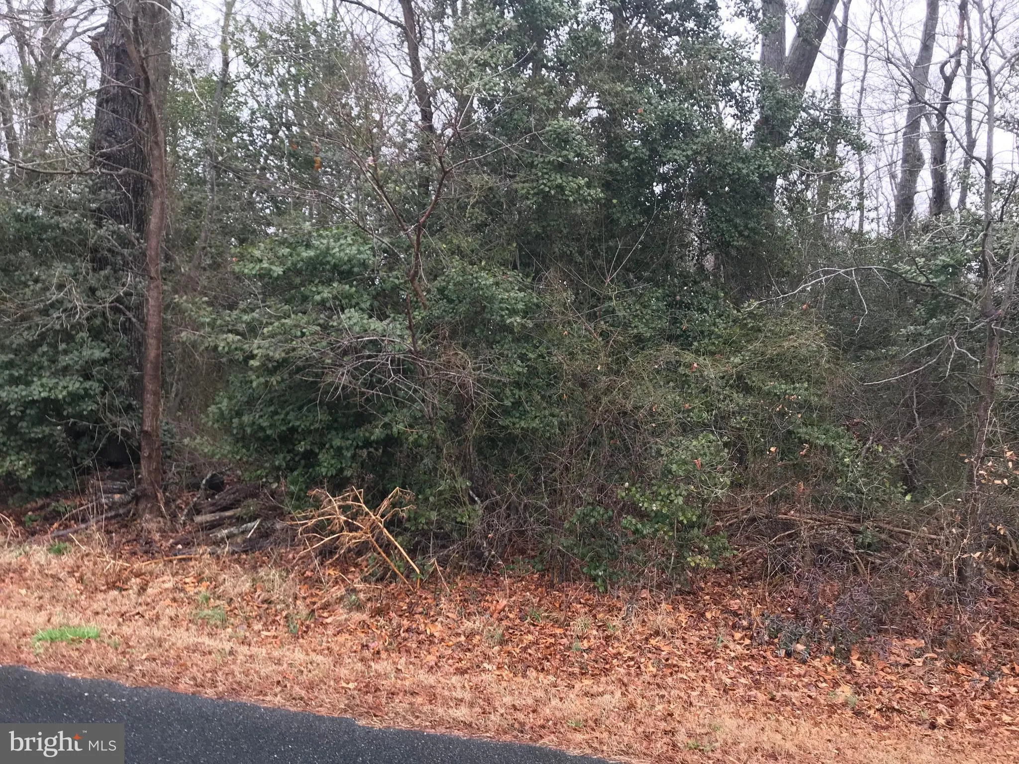 Carey's Camp Rd, Millsboro, DE 19966