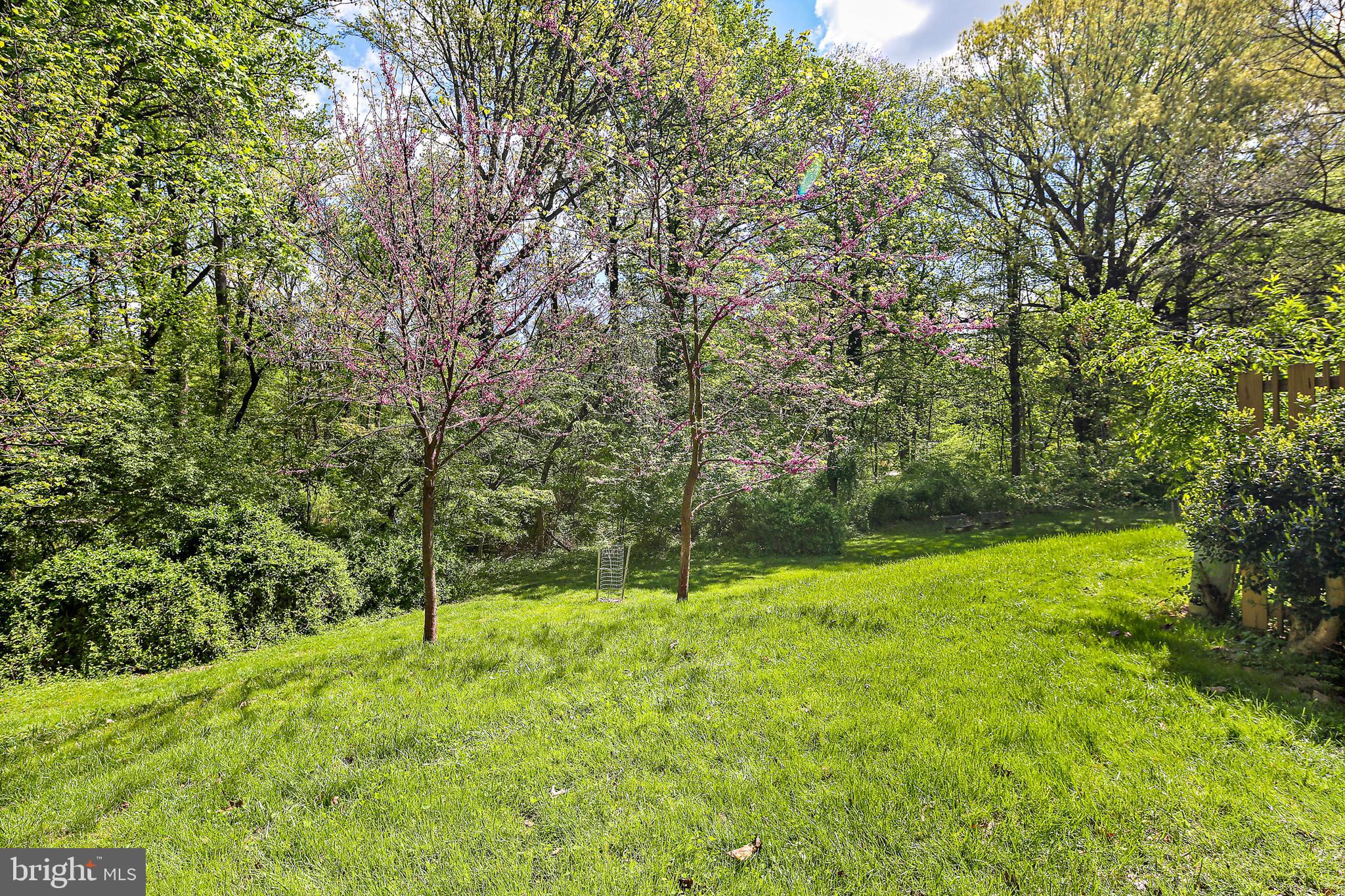 DEERING WOODS - Residential