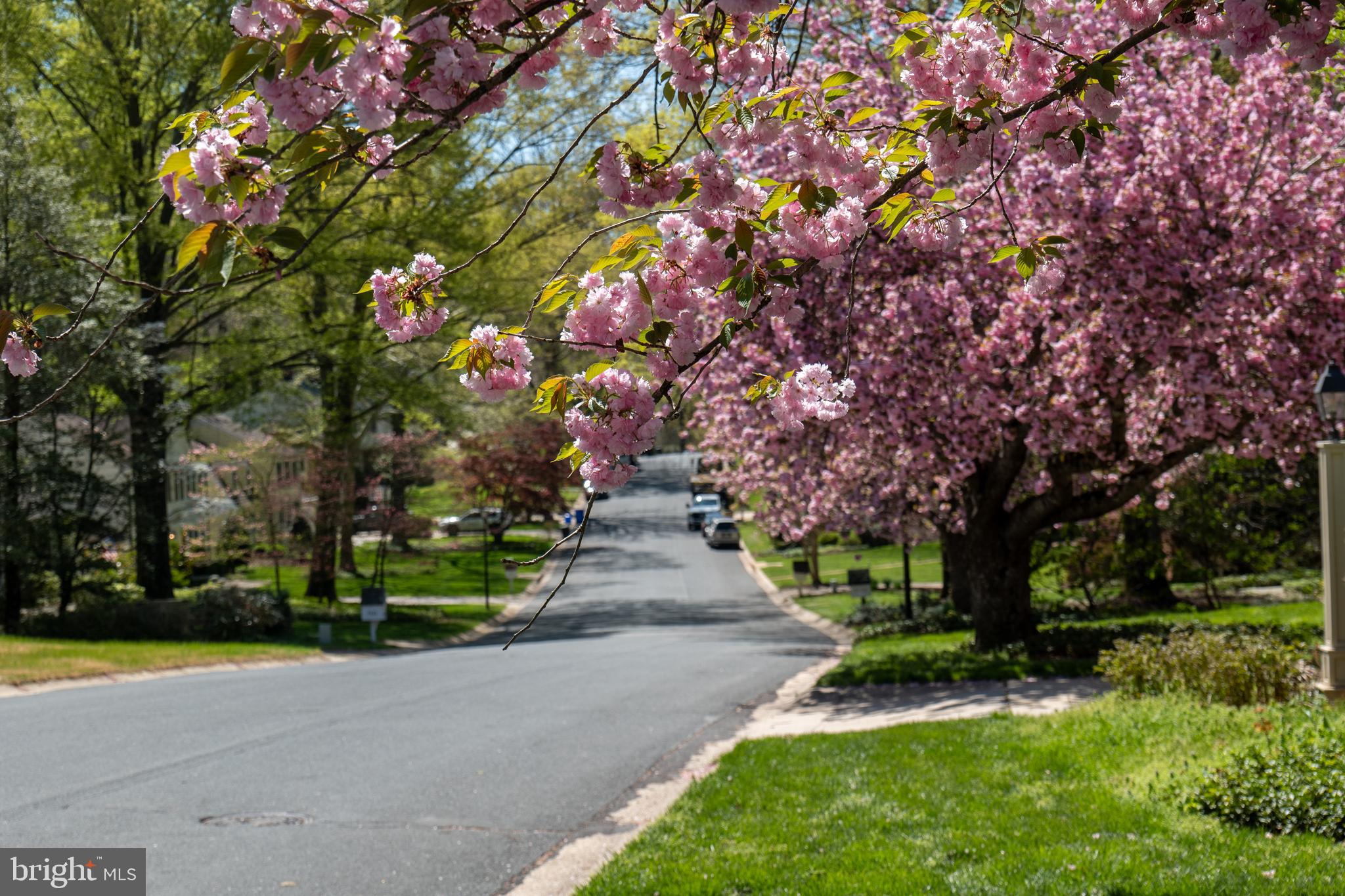 RIVER FALLS - Residential