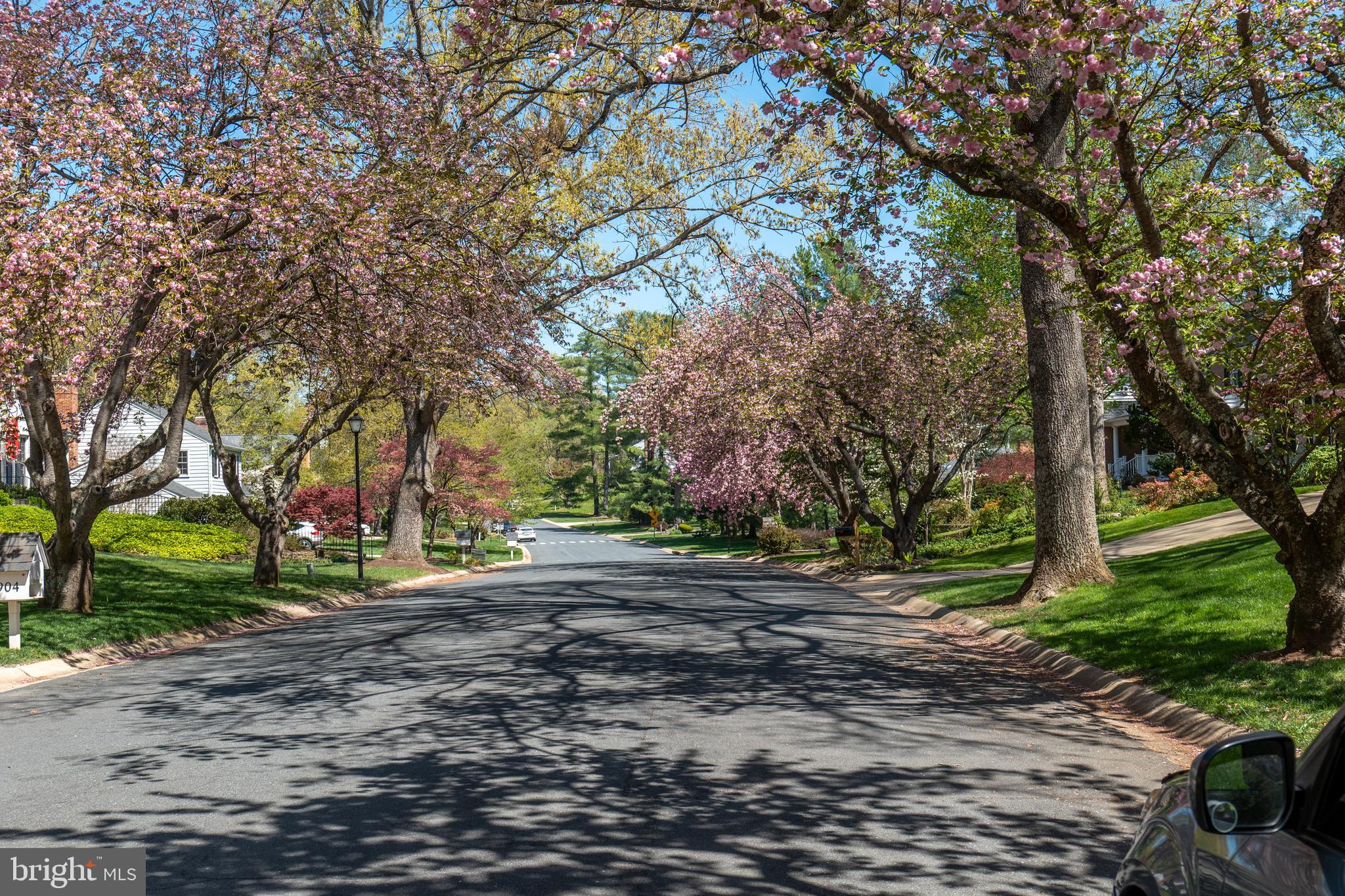 RIVER FALLS - Residential