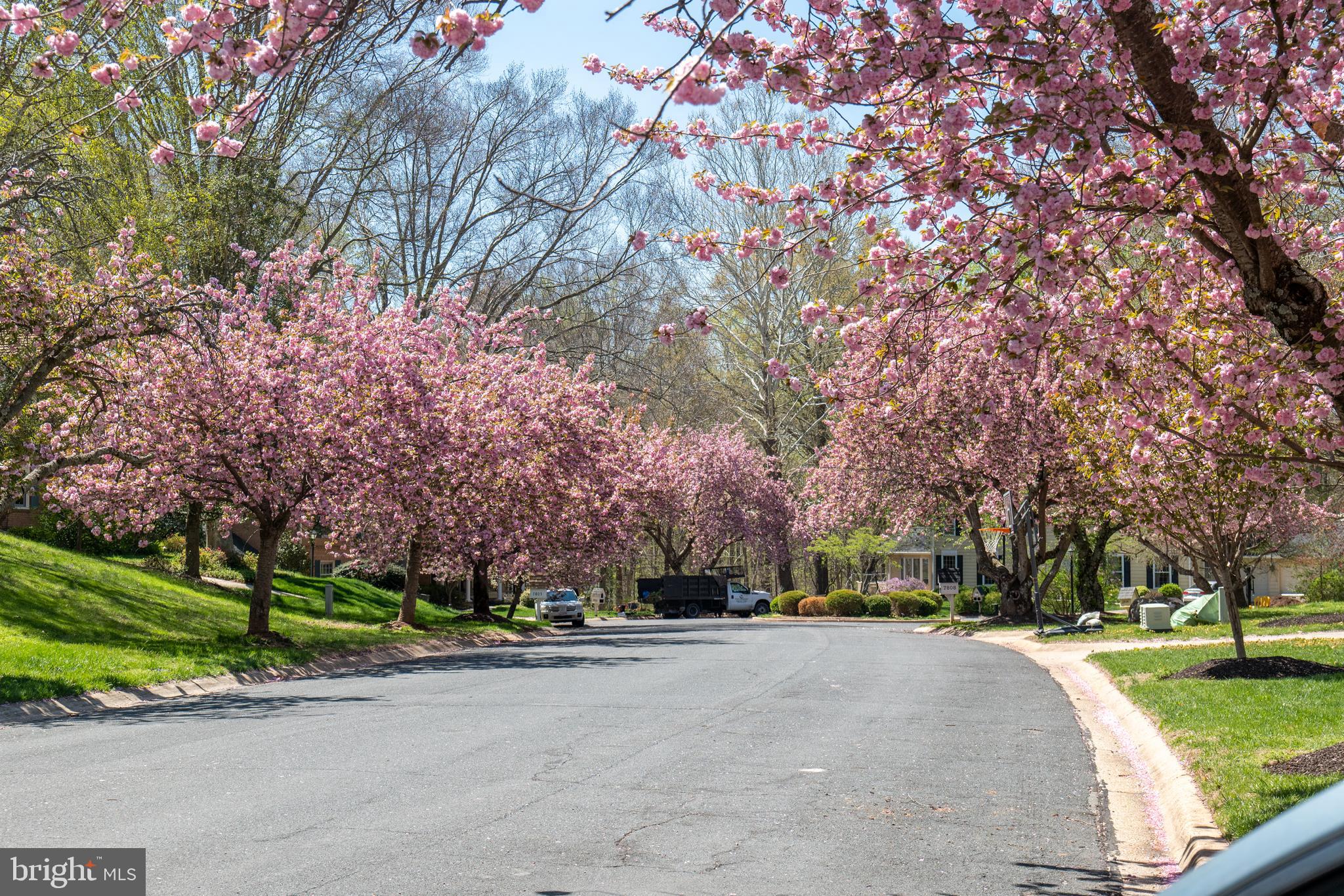 RIVER FALLS - Residential