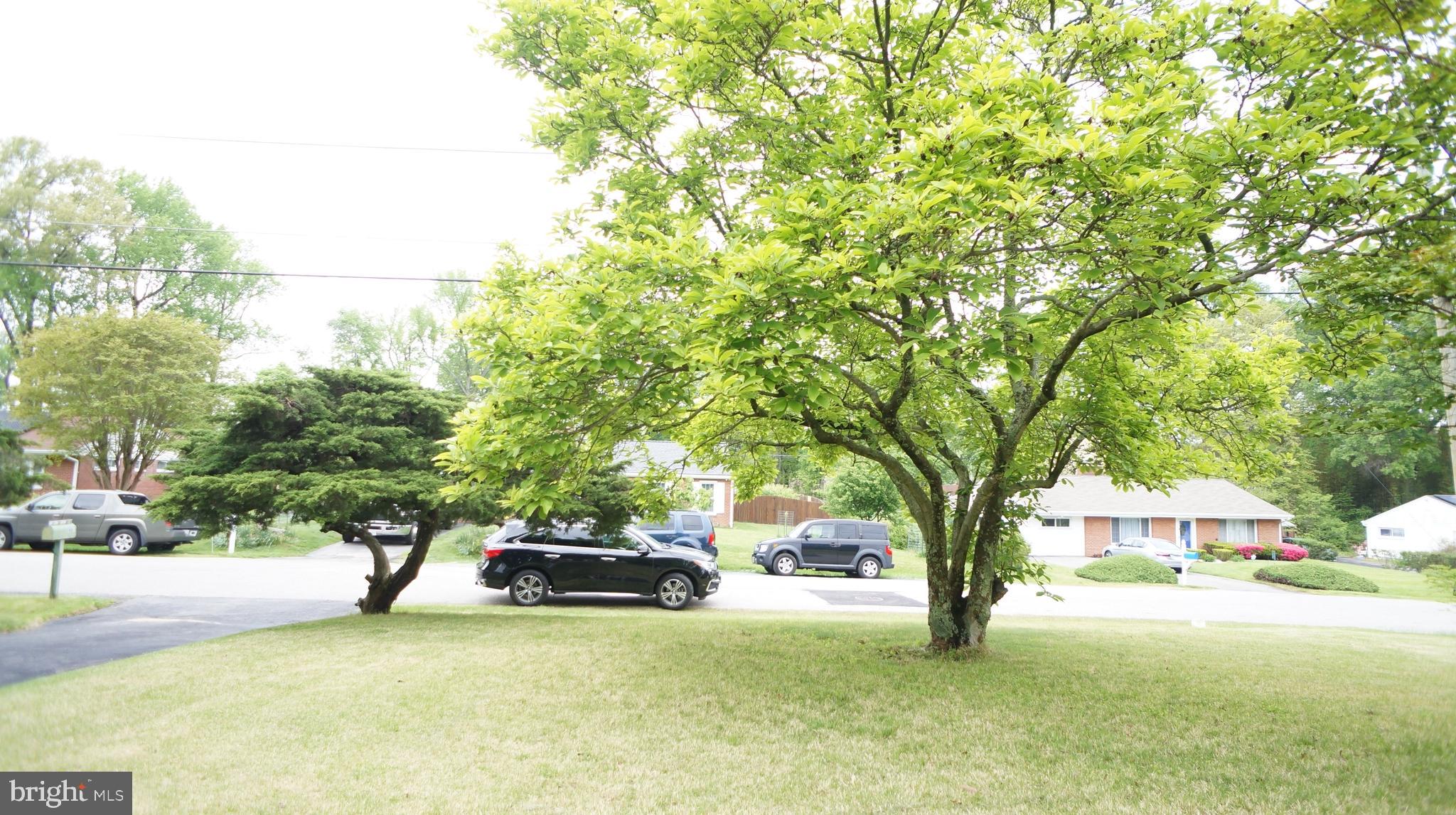 FORT WASHINGTON FOREST - Residential