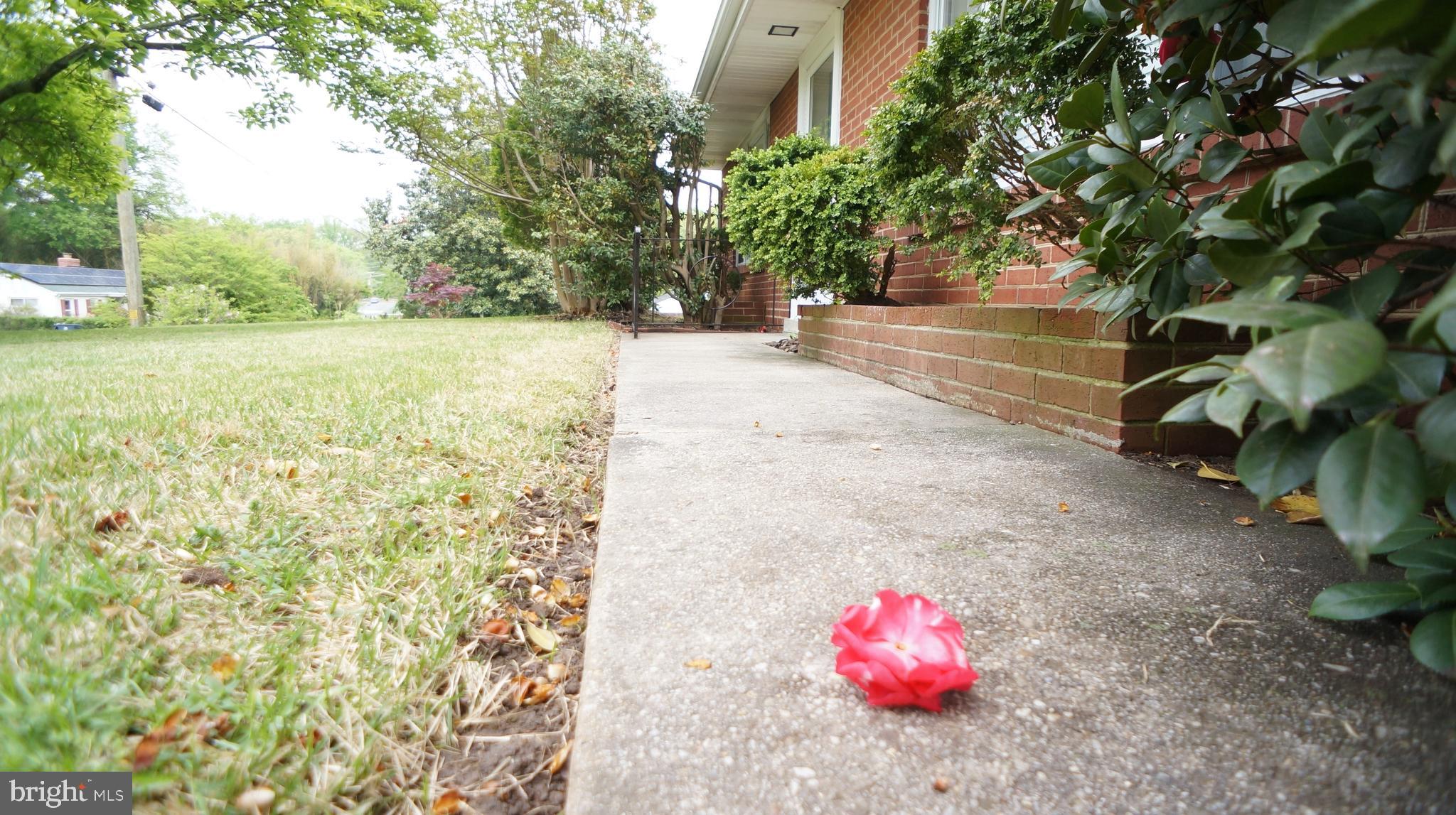 FORT WASHINGTON FOREST - Residential