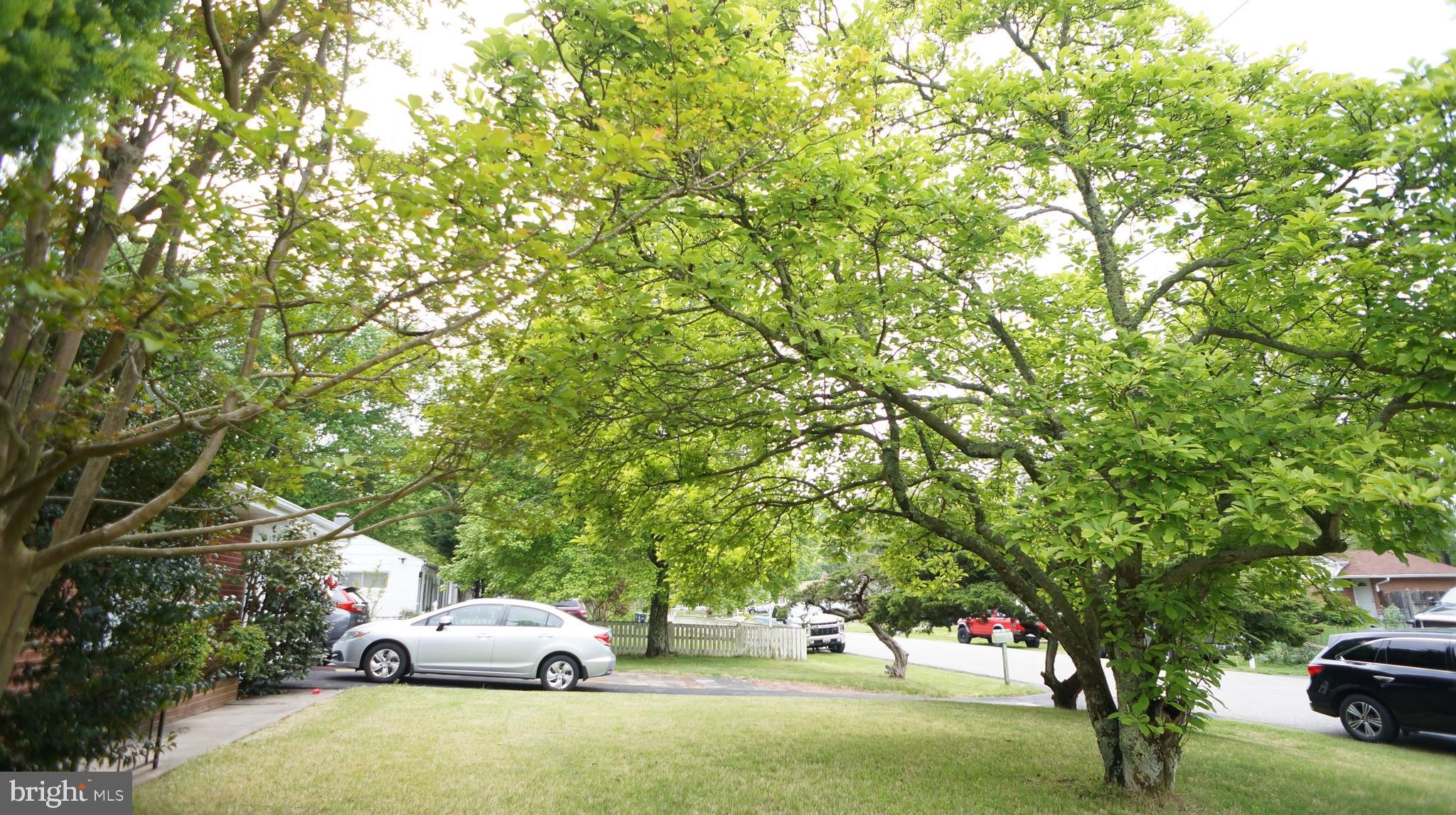 FORT WASHINGTON FOREST - Residential