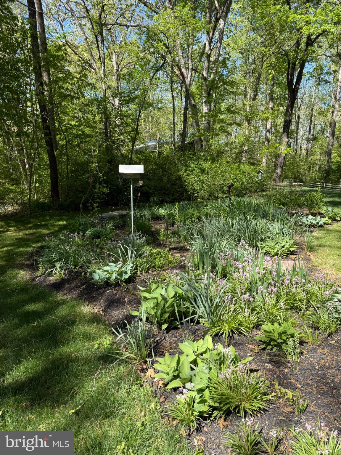 MICHAEL FARMS - Residential