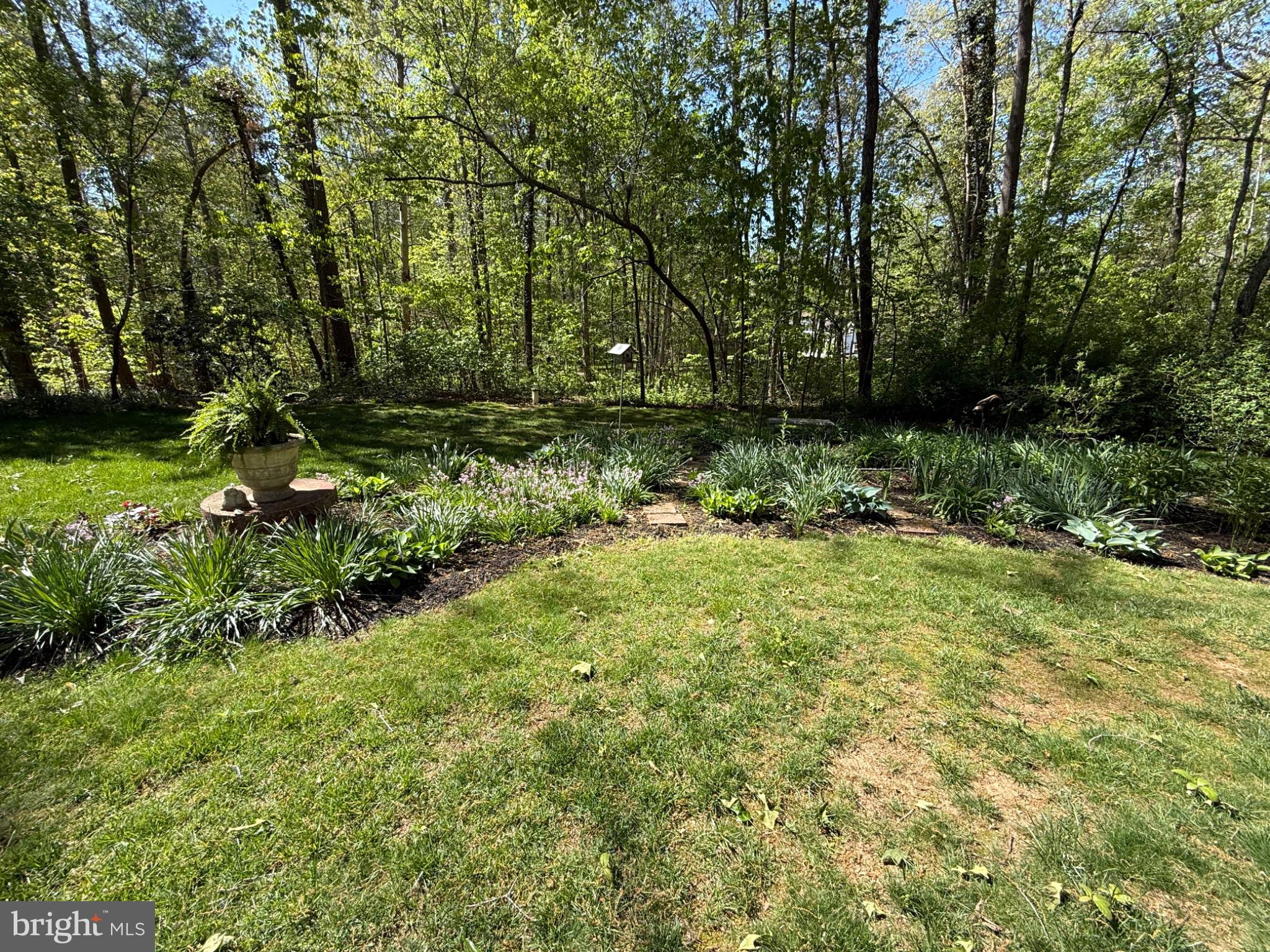 MICHAEL FARMS - Residential