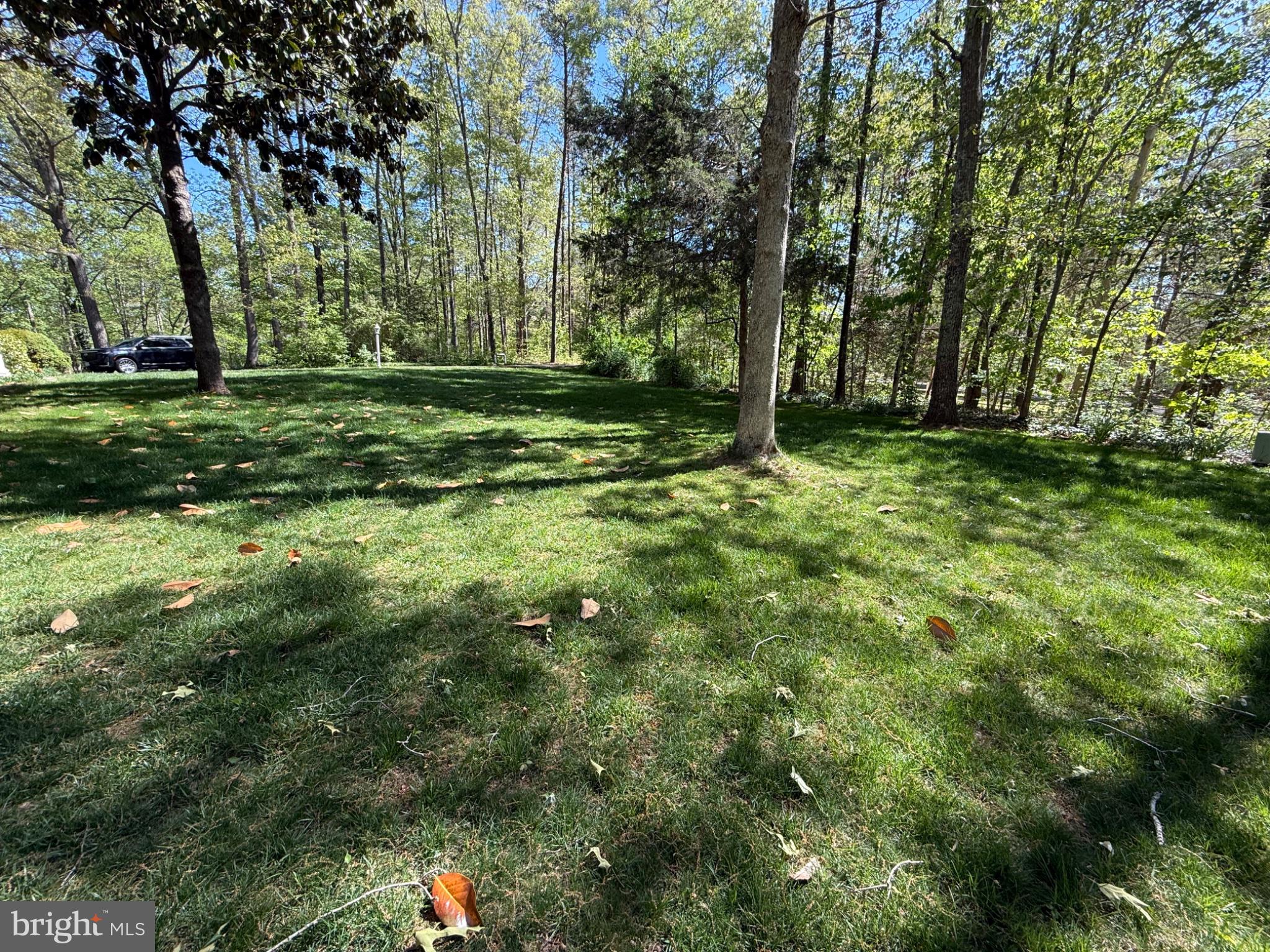 MICHAEL FARMS - Residential