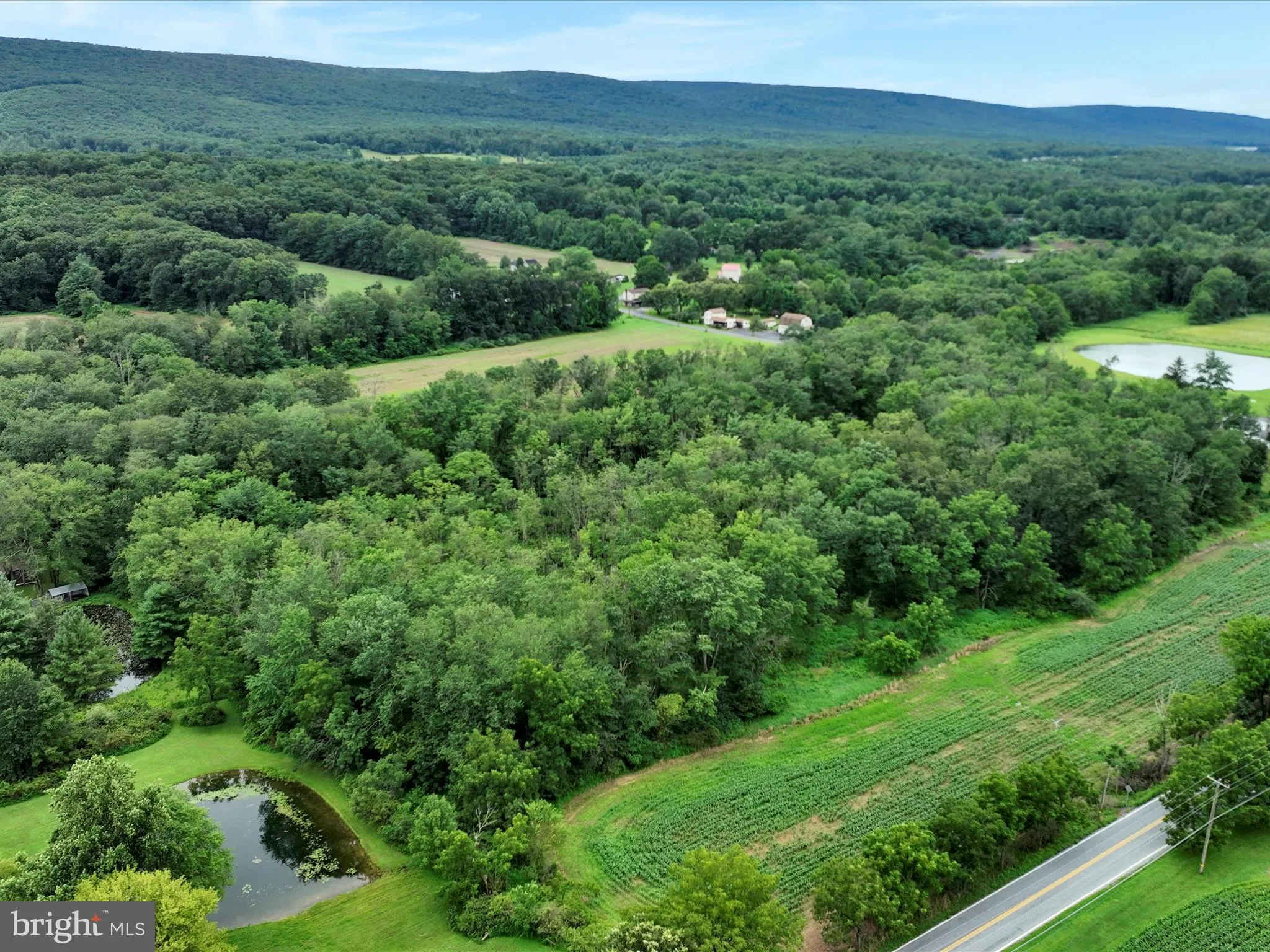 Schuylkill Haven, Pennsylvania 17972, United States, ,Land,Active,184239