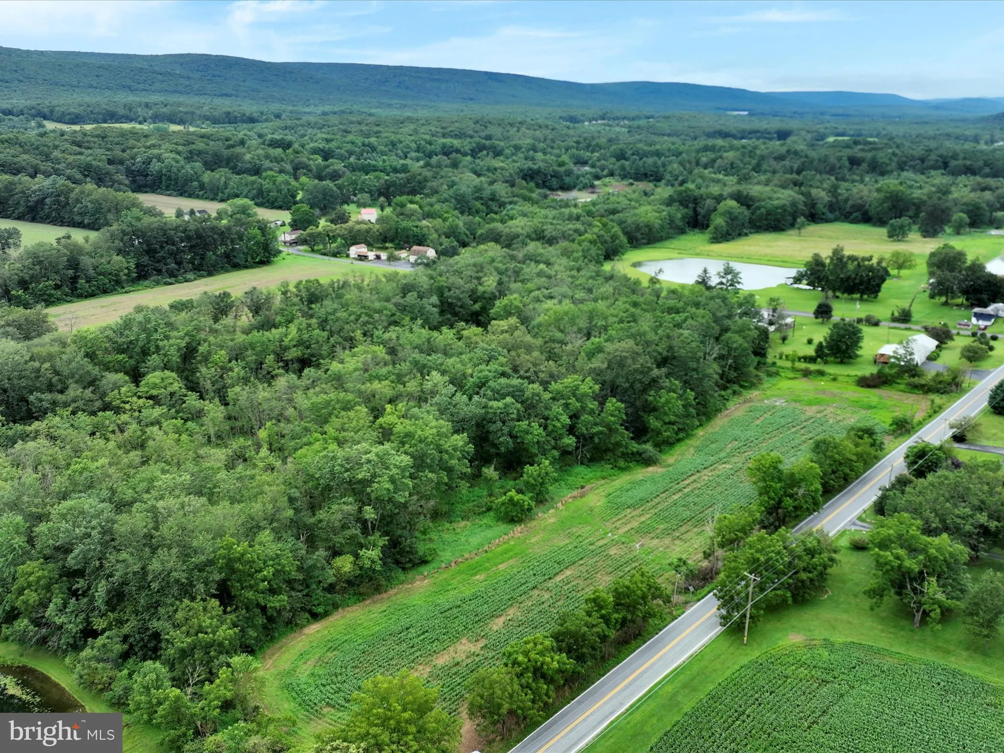 Schuylkill Haven, Pennsylvania 17972, United States, ,Land,Active,184239