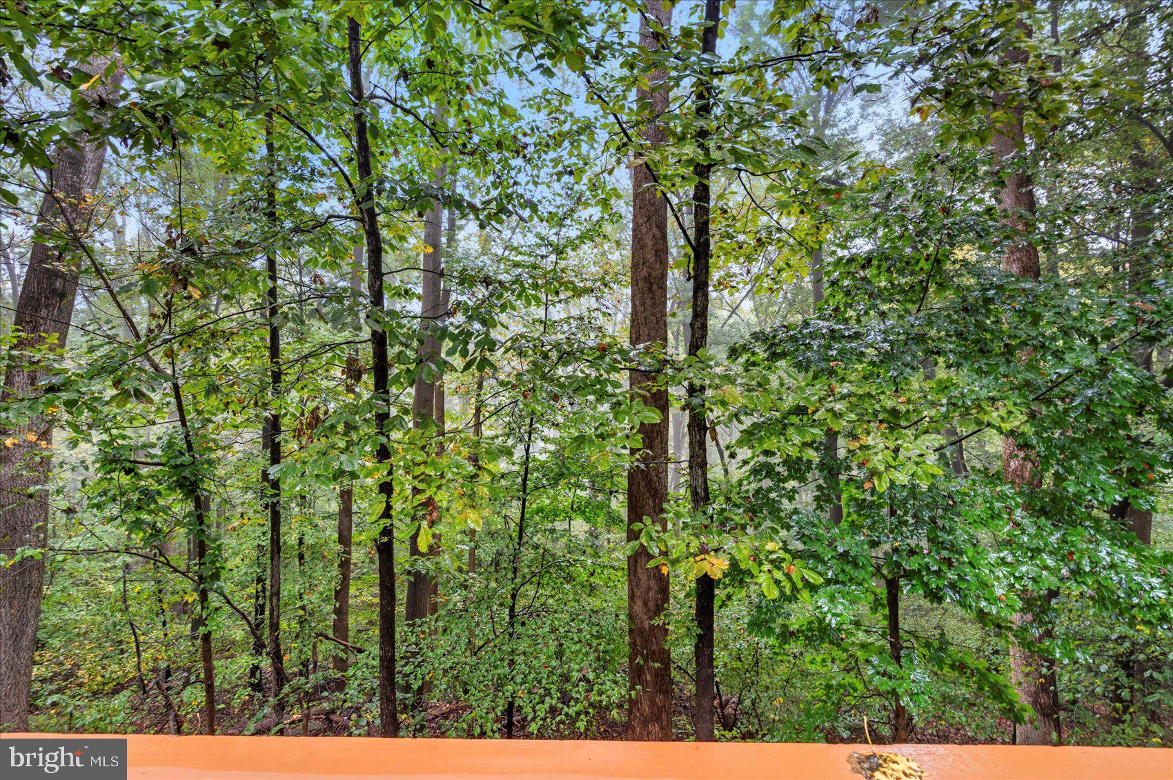 RICHLYN MANOR - Residential