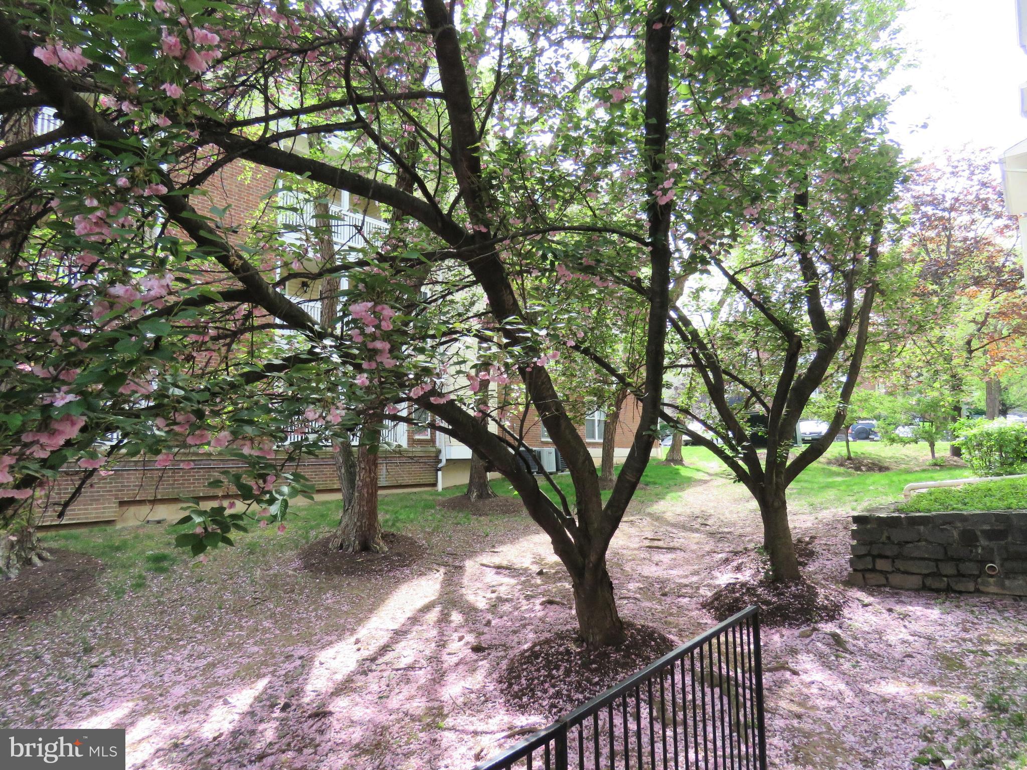 FOUNTAINS AT MCLEAN - Residential