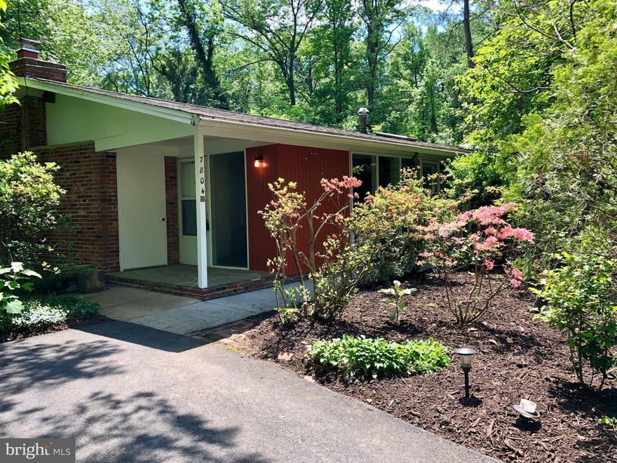 Bright and expanded Hollin Hills contemporary has four bedrooms, two full baths and almost 2300 sf on one level. An open dining room/living room with oversized wood-burning fireplace offers sweeping views of the wooded backyard with sliding glass doors to a large deck. Spacious kitchen has mid-century details and modern amenities including many new appliances and fixtures, and granite counter tops. A private front patio is perfect for grilling and outdoor dining. The master bedroom has extra closet storage and includes en-suite bathroom with oversized shower.  A large family room has outside access and built-in bookcases. Three additional bedrooms plus a bonus room allow for flexibility to include an office, playroom or den. This home has easy access to community schools, pools and commuter routes. Pets will be considered on a case by case basis with a pet deposit.