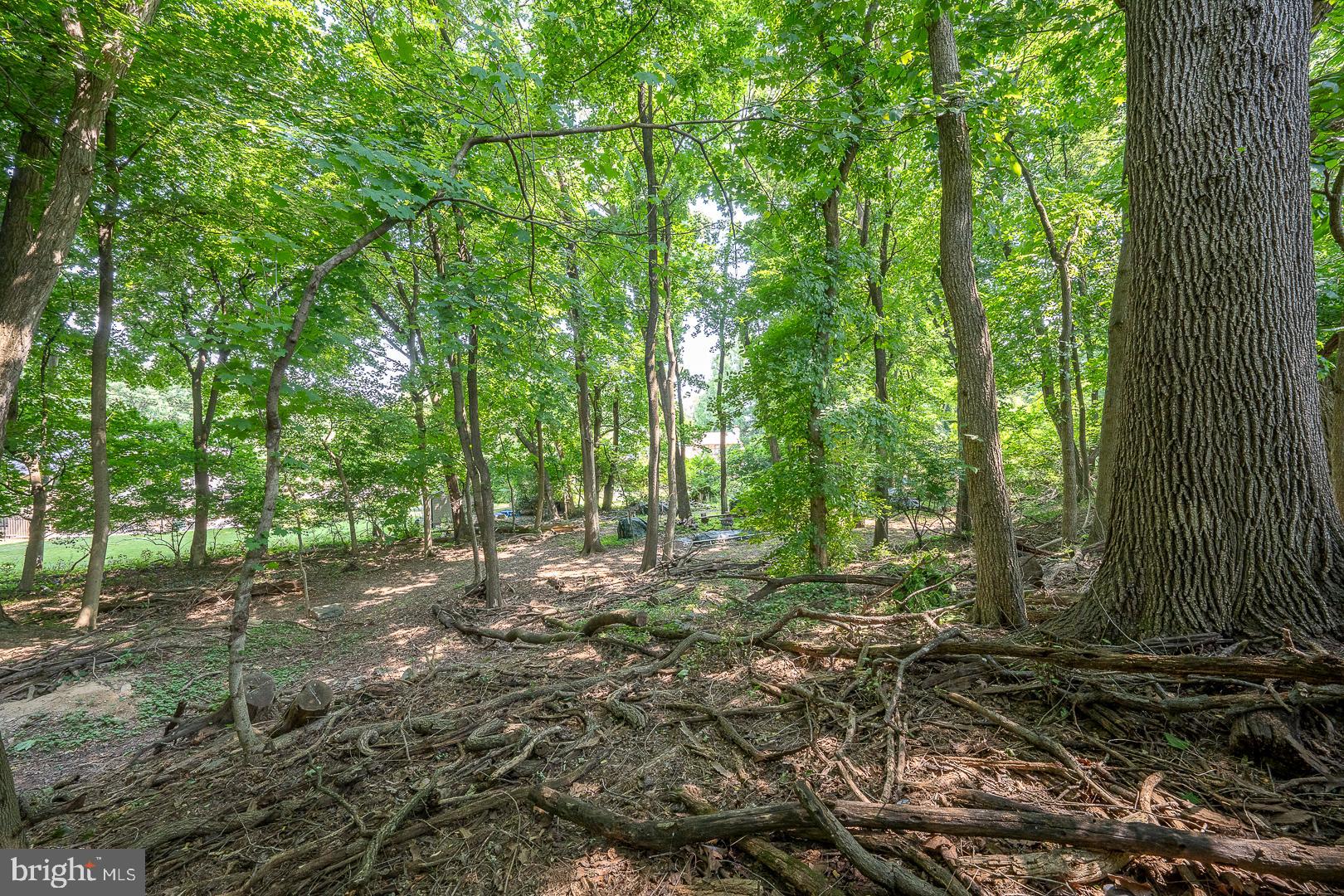 LAFAYETTE HILL - Residential