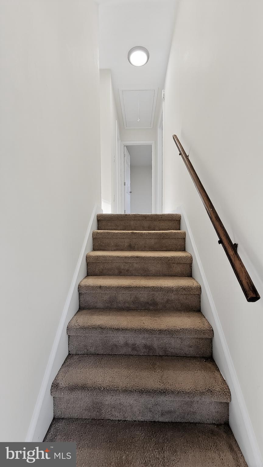 MAGNOLIA TERRACE - Residential