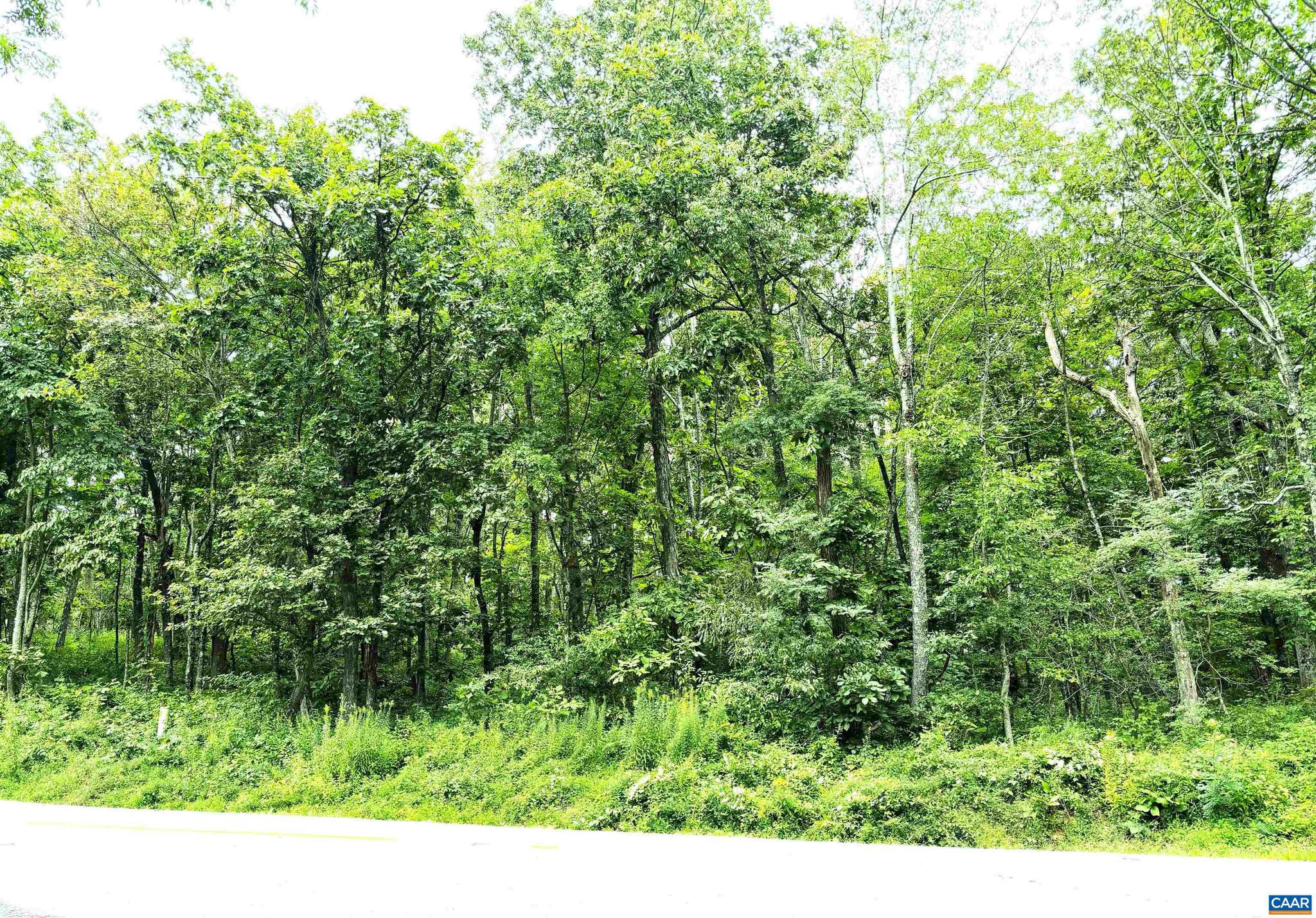 Nice wooded homesite on Laurel Springs Dr. Ideal location for those outdoor enthusiasts and those searching for some peace and quiet away from the hustle and bustle. Just a short walk to the multiple Appalachian Trail access points and to the Shamokin Springs Gorge. Slightly elevated from the street makes an ideal building site. Make your mountain home vision a reality. Act now.