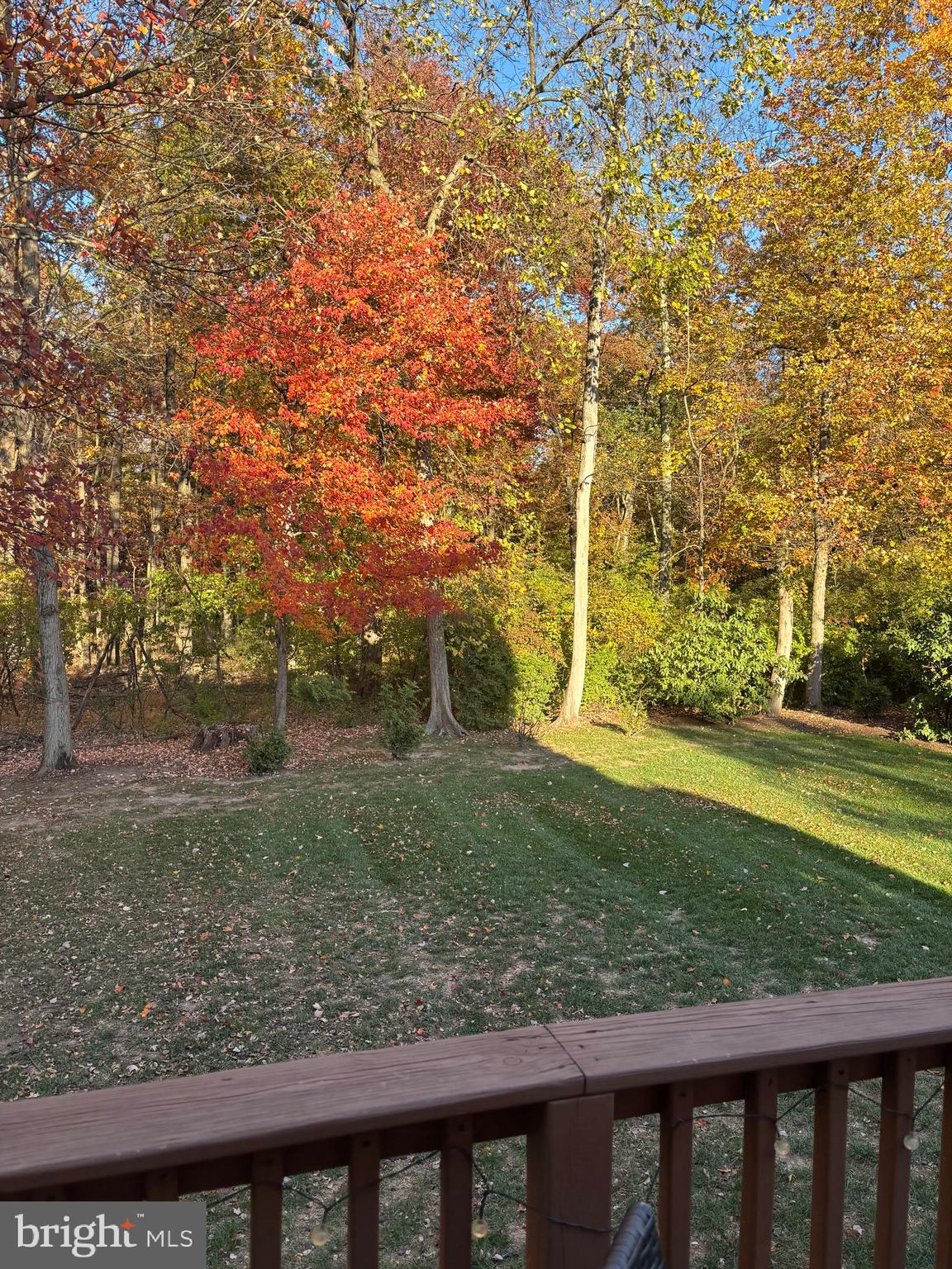 CHESTNUT CREEK - Residential