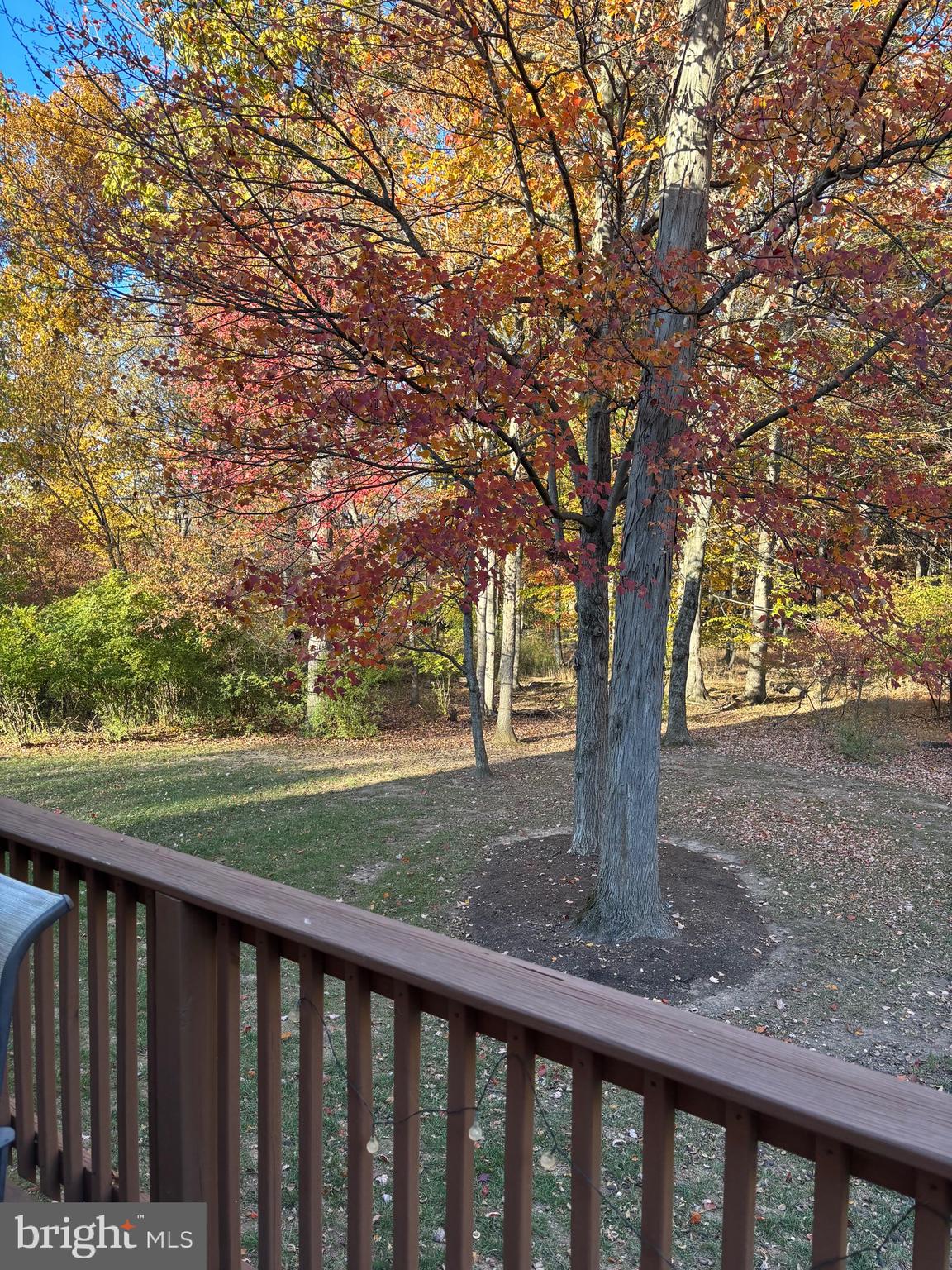 CHESTNUT CREEK - Residential