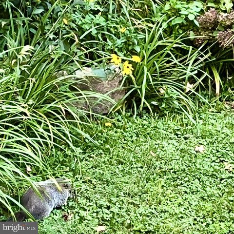 Tiny photo for 339 Plush Mill Road, WALLINGFORD, PA 19086 (MLS # PADE2107248)