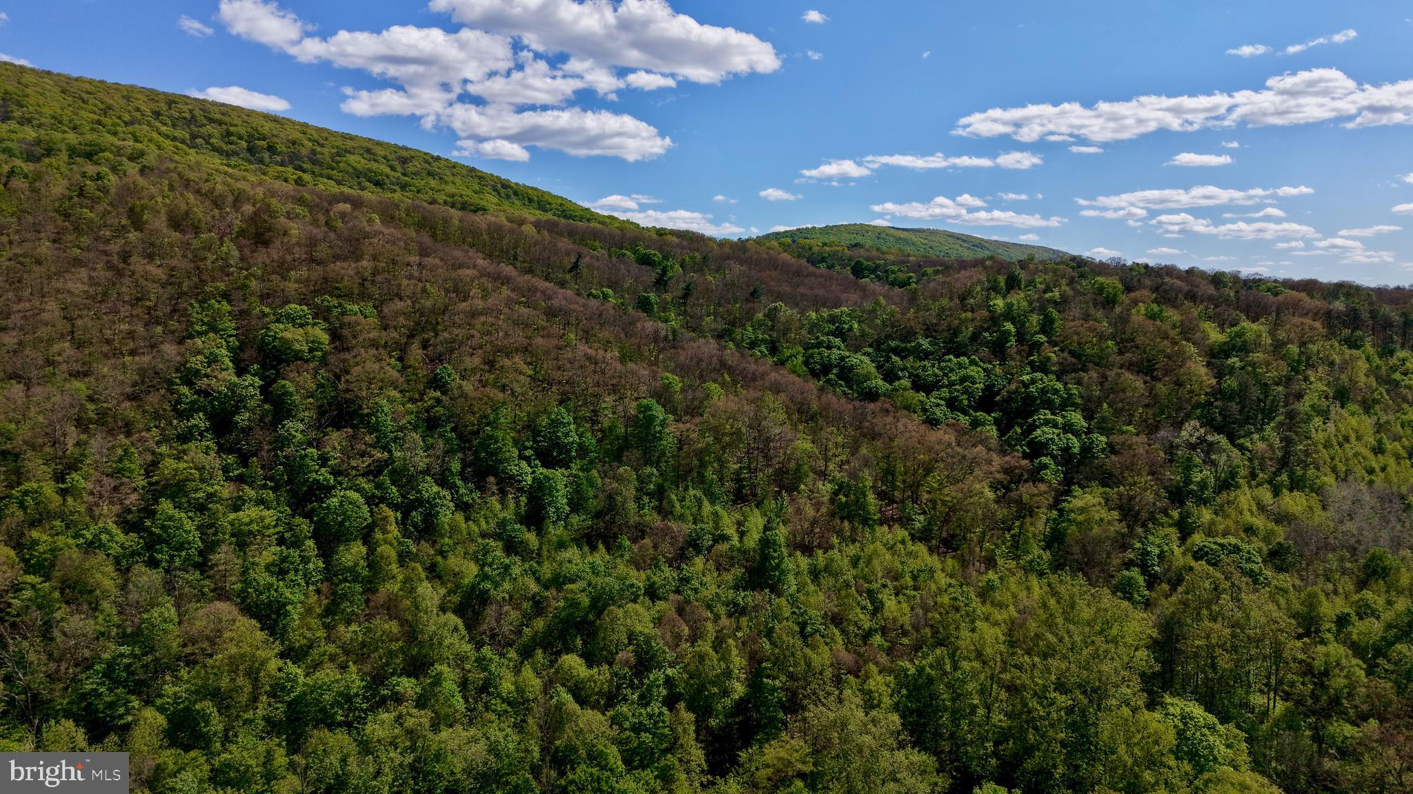 42 KODIAK LANE