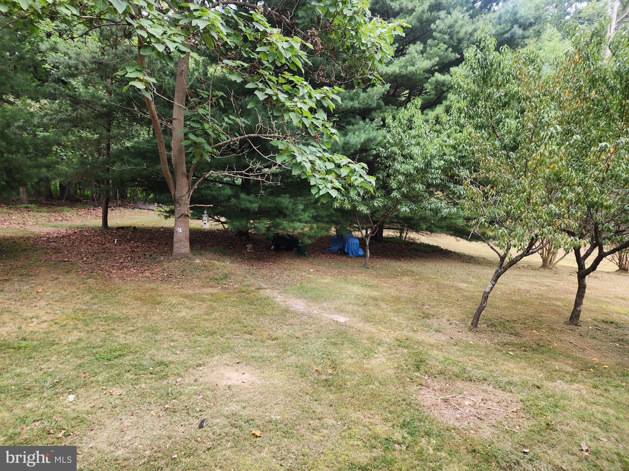 67 REDBUD LANE