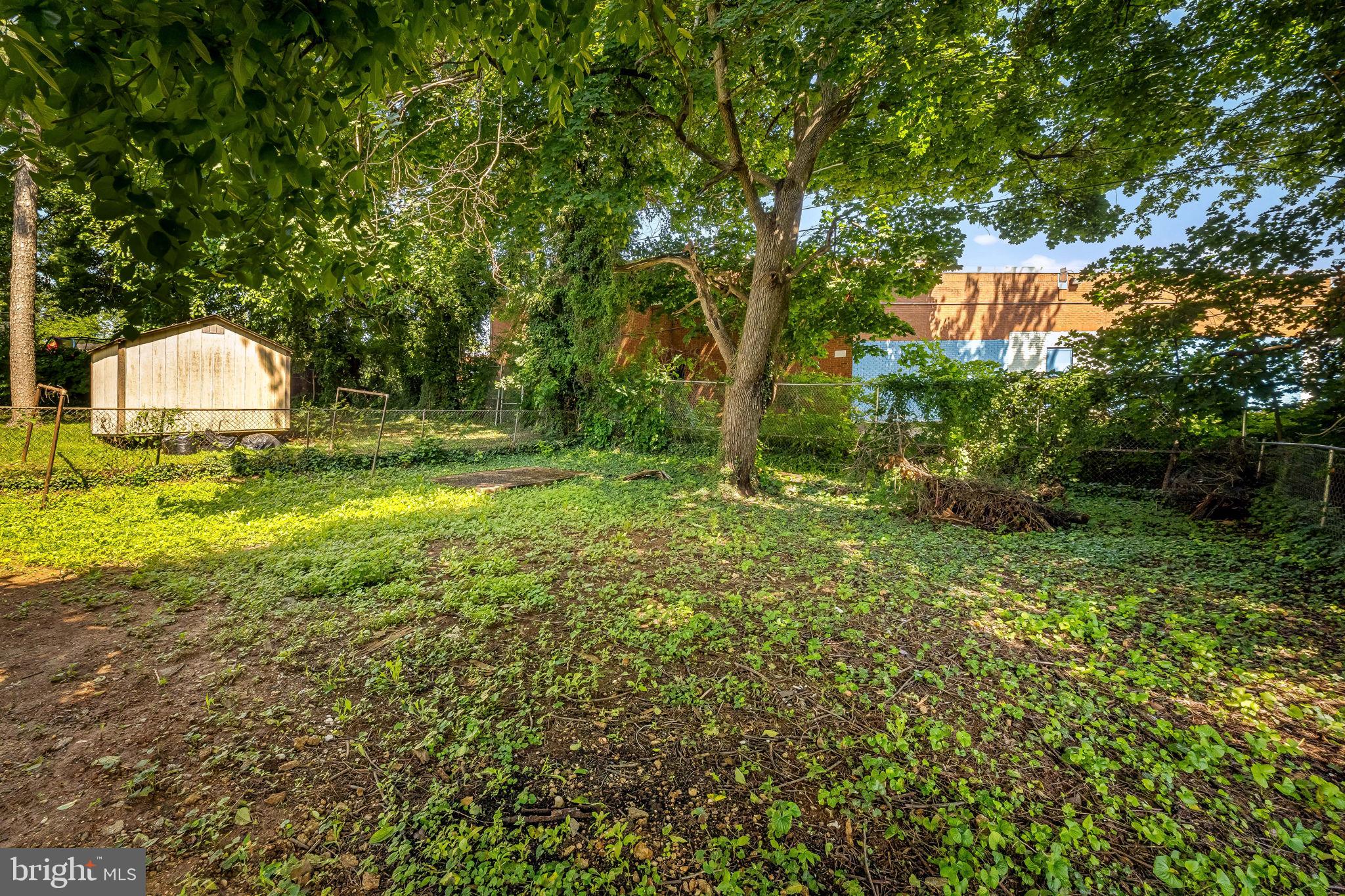 DOLFIELD - Residential Lease