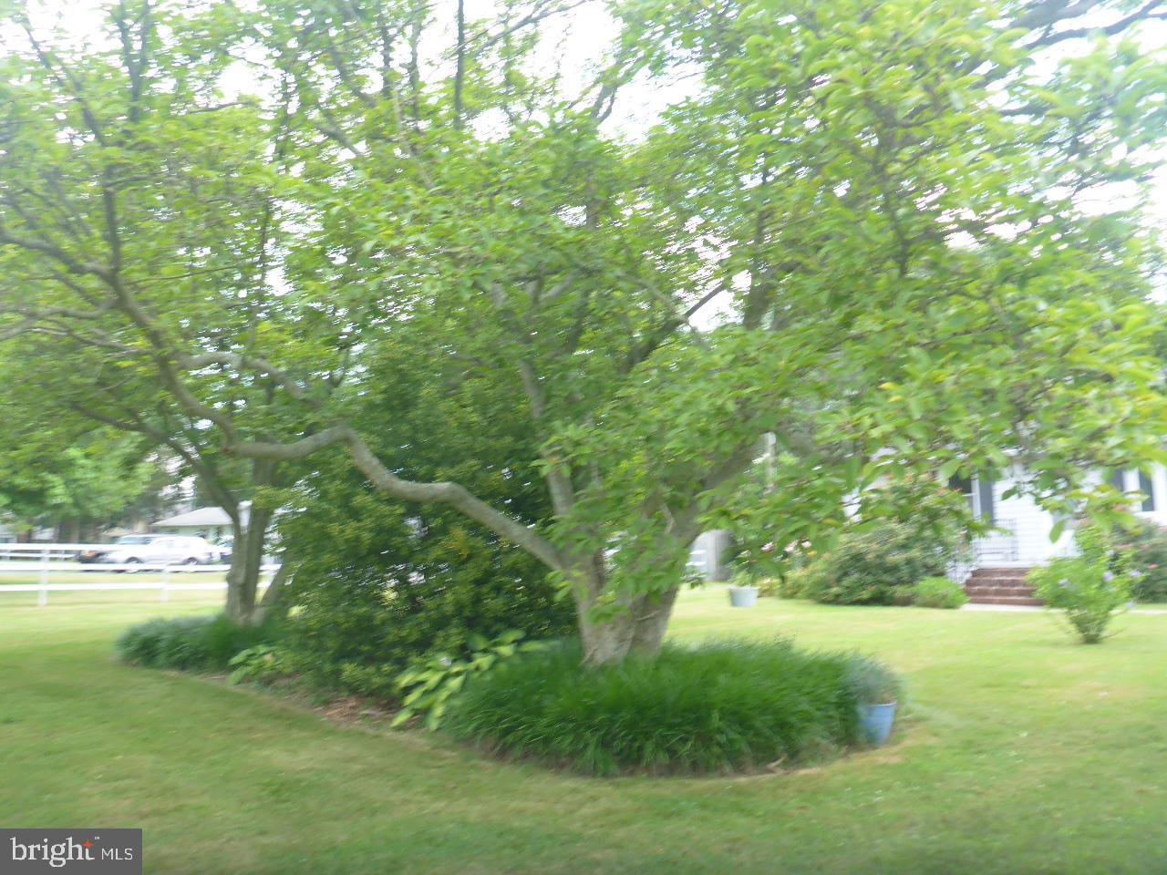 NORTH EAST - Residential