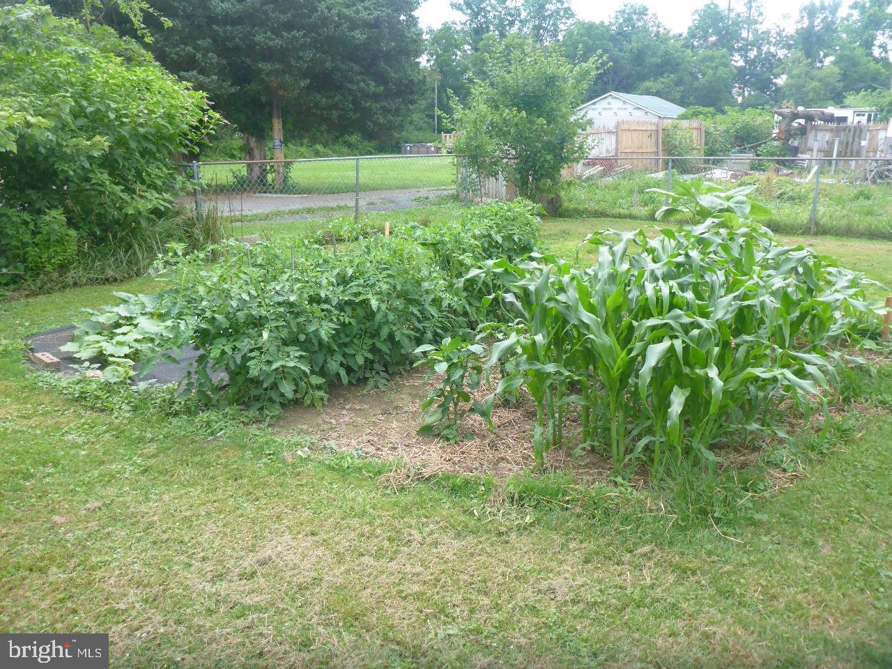 NORTH EAST - Residential