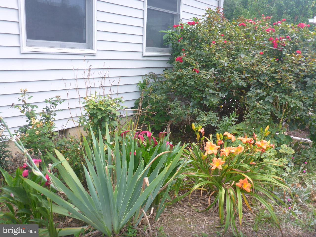 NORTH EAST - Residential