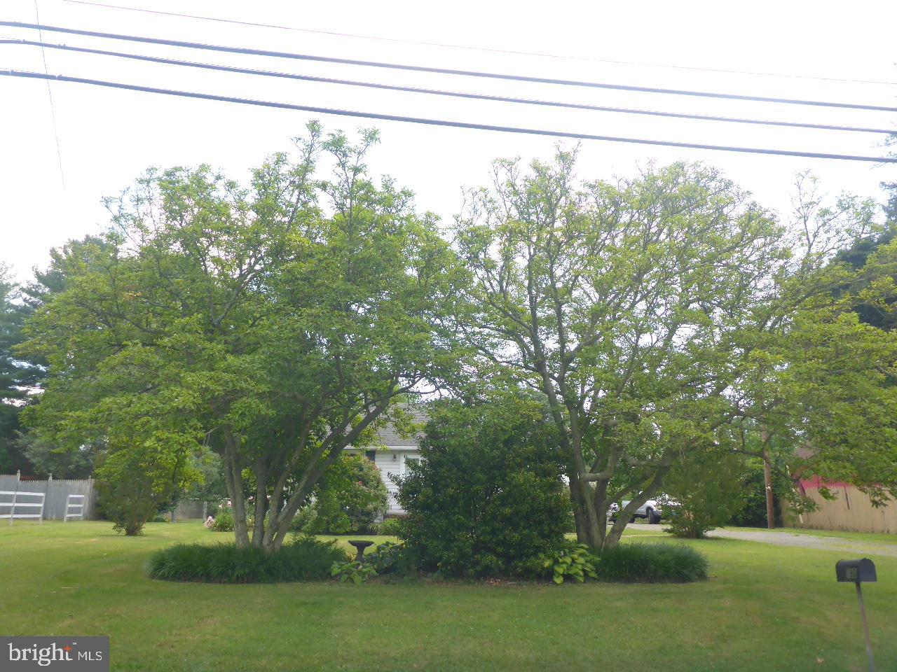 NORTH EAST - Residential